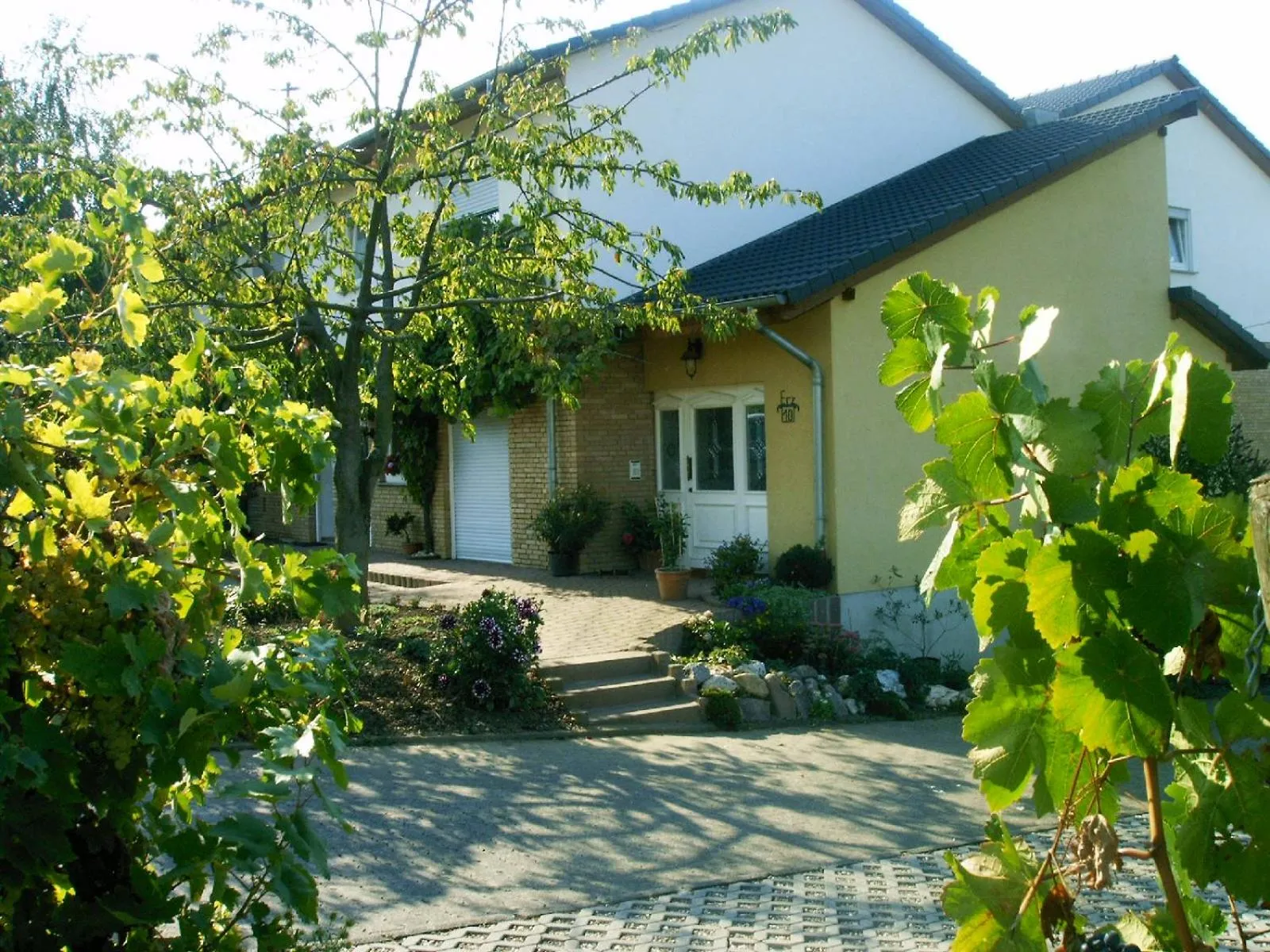 Property building in Weingut & Gästehaus Andreas Erz