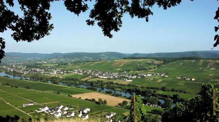 Neighbourhood in Weingut & Gästehaus Andreas Erz