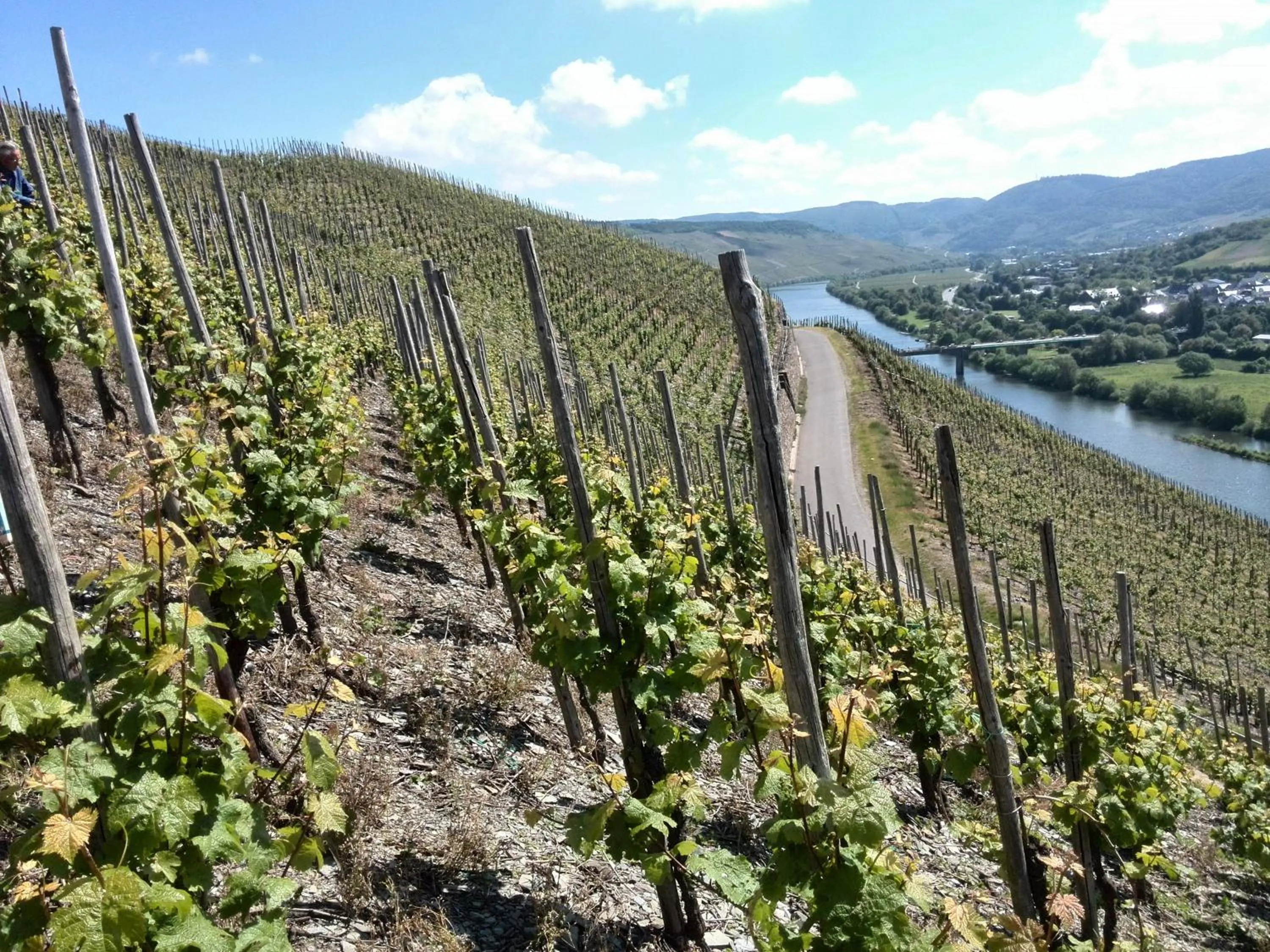 Neighbourhood in Weingut & Gästehaus Andreas Erz