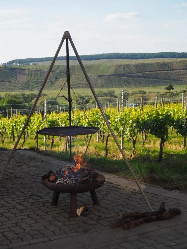 Garden in Weingut & Gästehaus Andreas Erz
