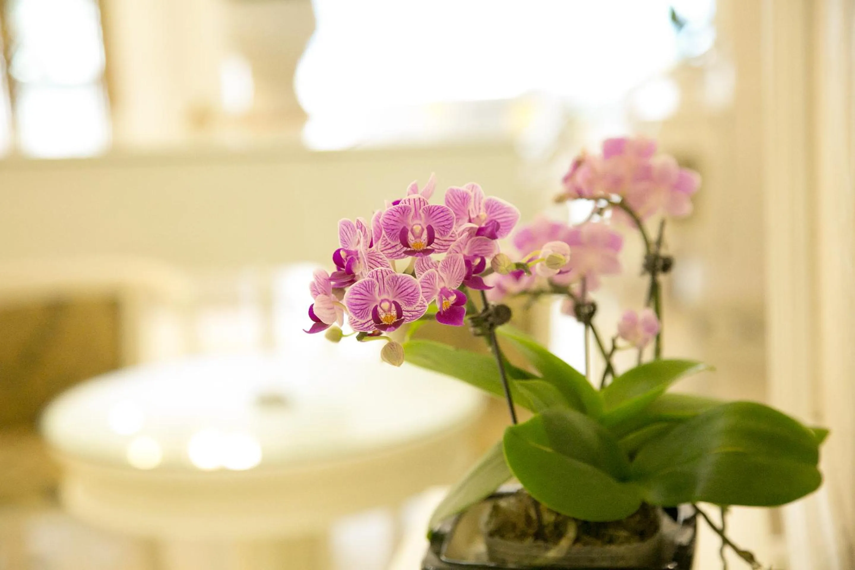 Lobby or reception in CityBay Palace Hạ Long Hotel
