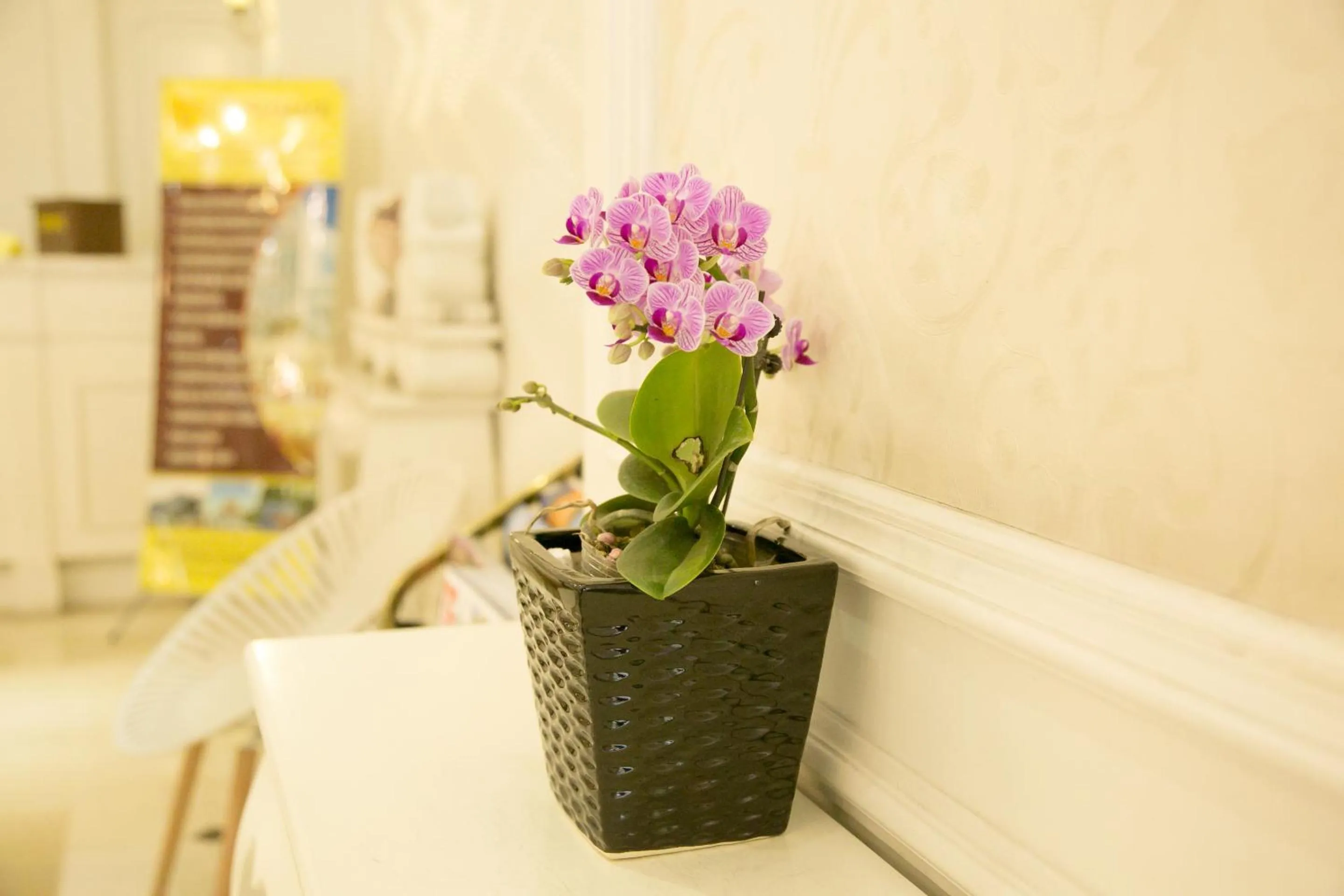 Lobby or reception in CityBay Palace Hạ Long Hotel