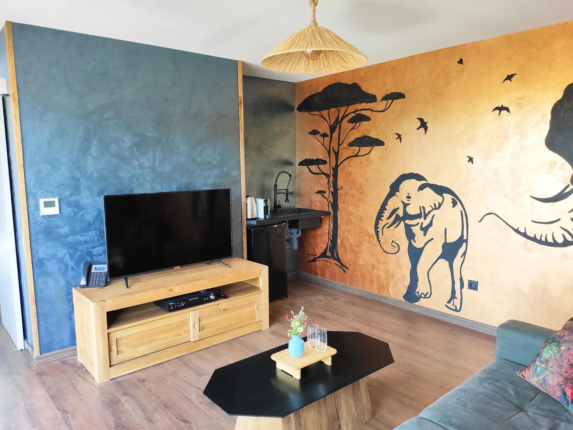 TV and multimedia in Villa Occitana