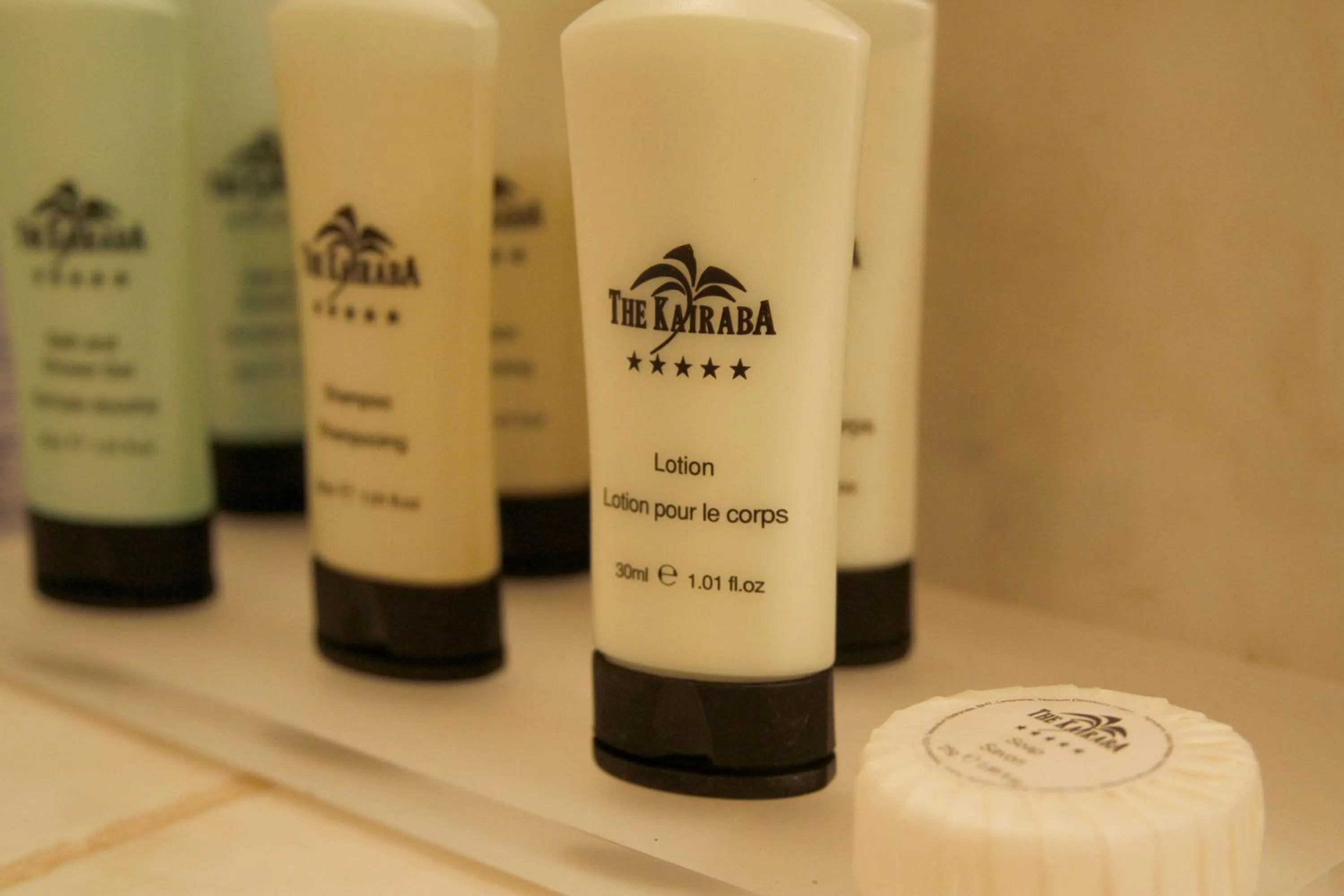 Property logo or sign in The Kairaba Beach Hotel