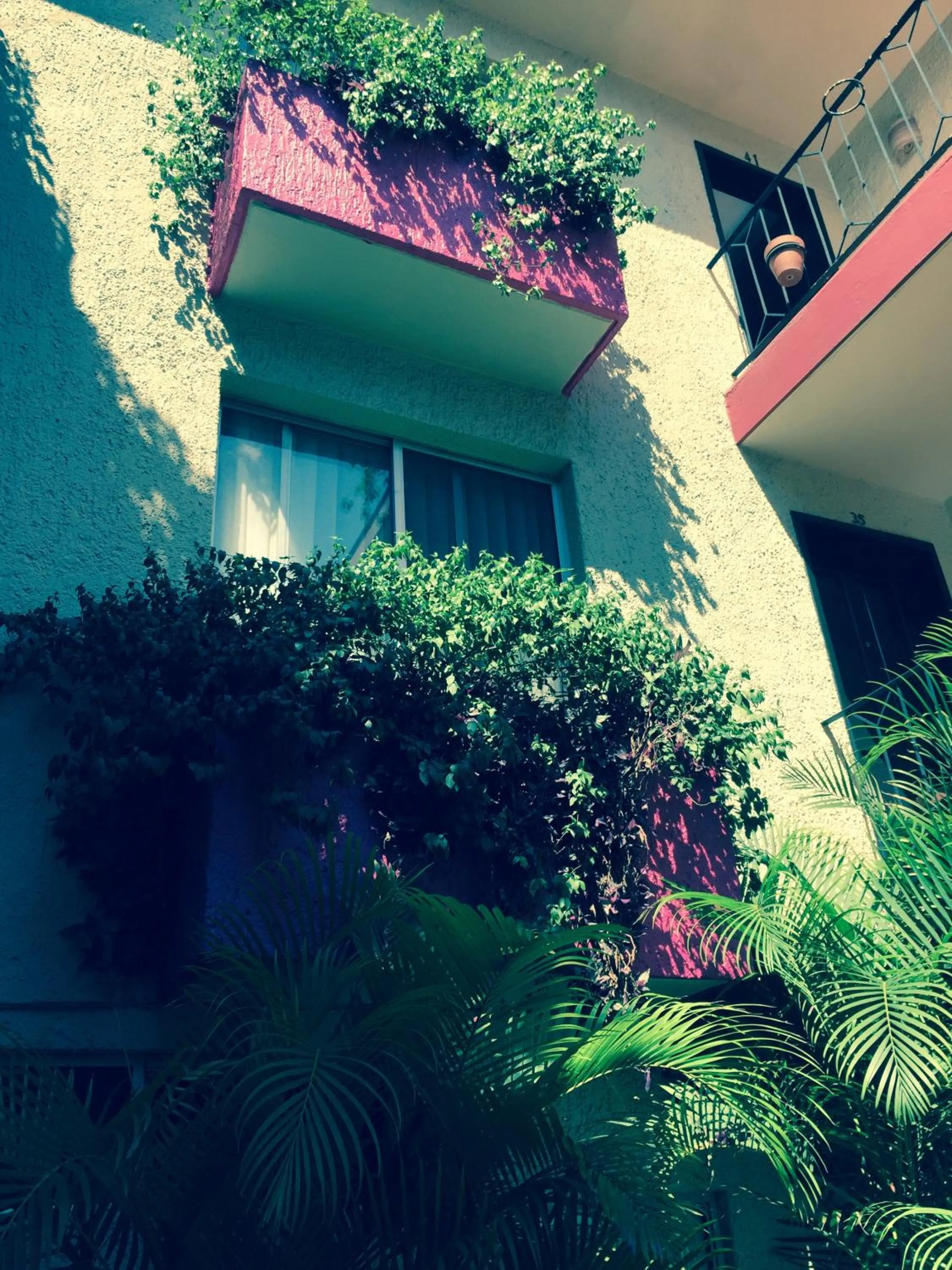 Area and facilities in Hotel Villa Del Sol Expo