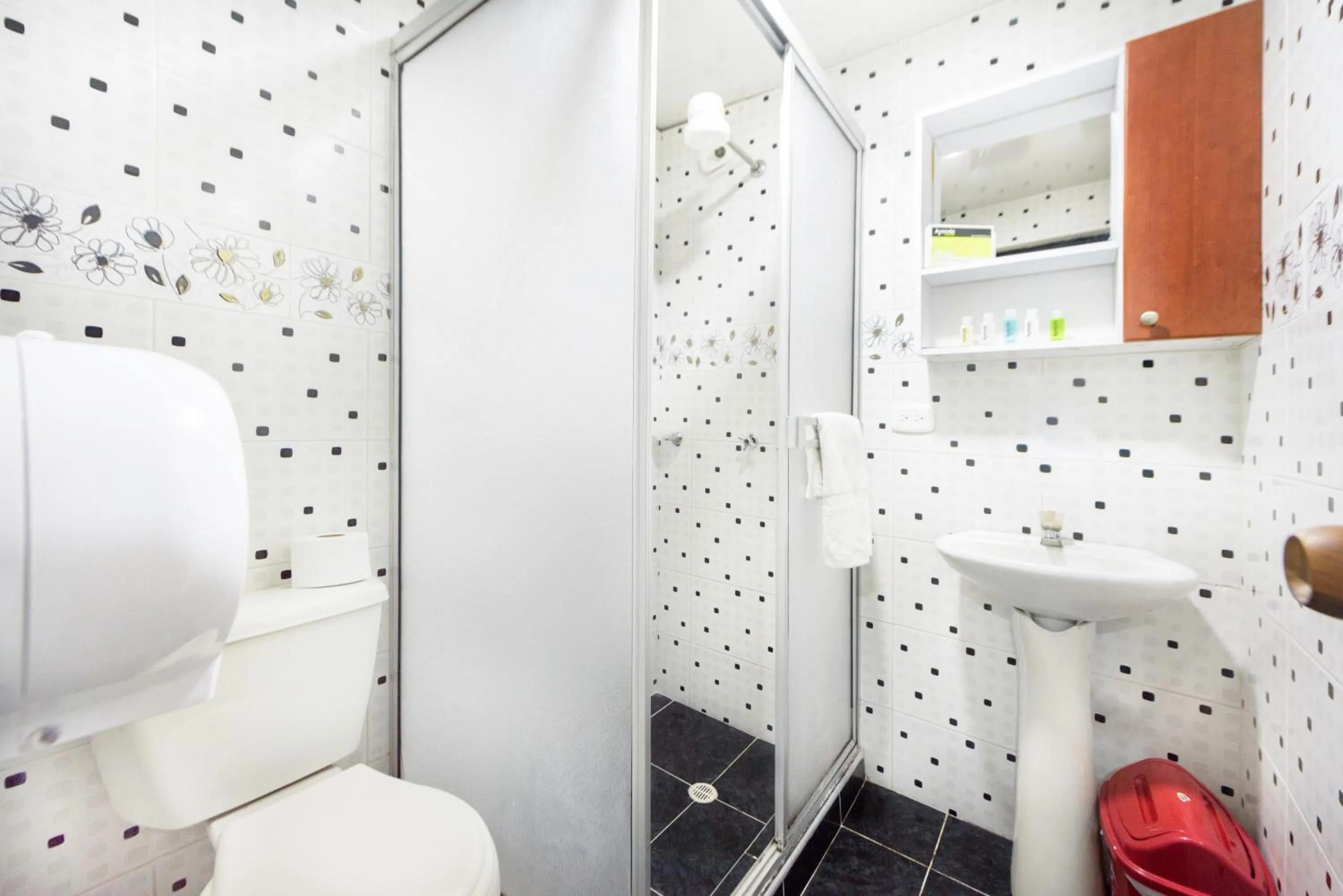 Shower in Ayenda 1016 Bogota Chapinero