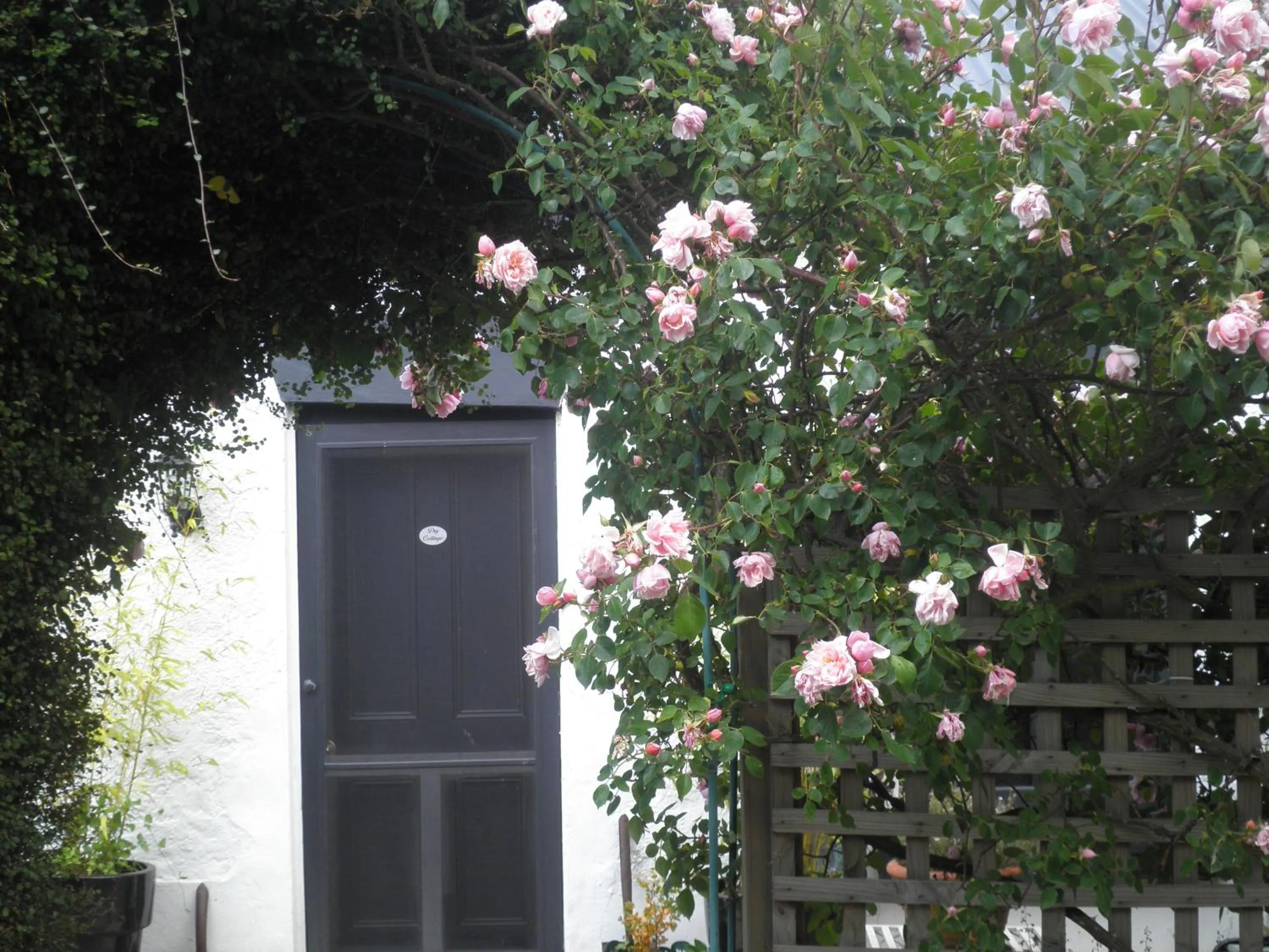 Facade/entrance in Ivy on Glenelg