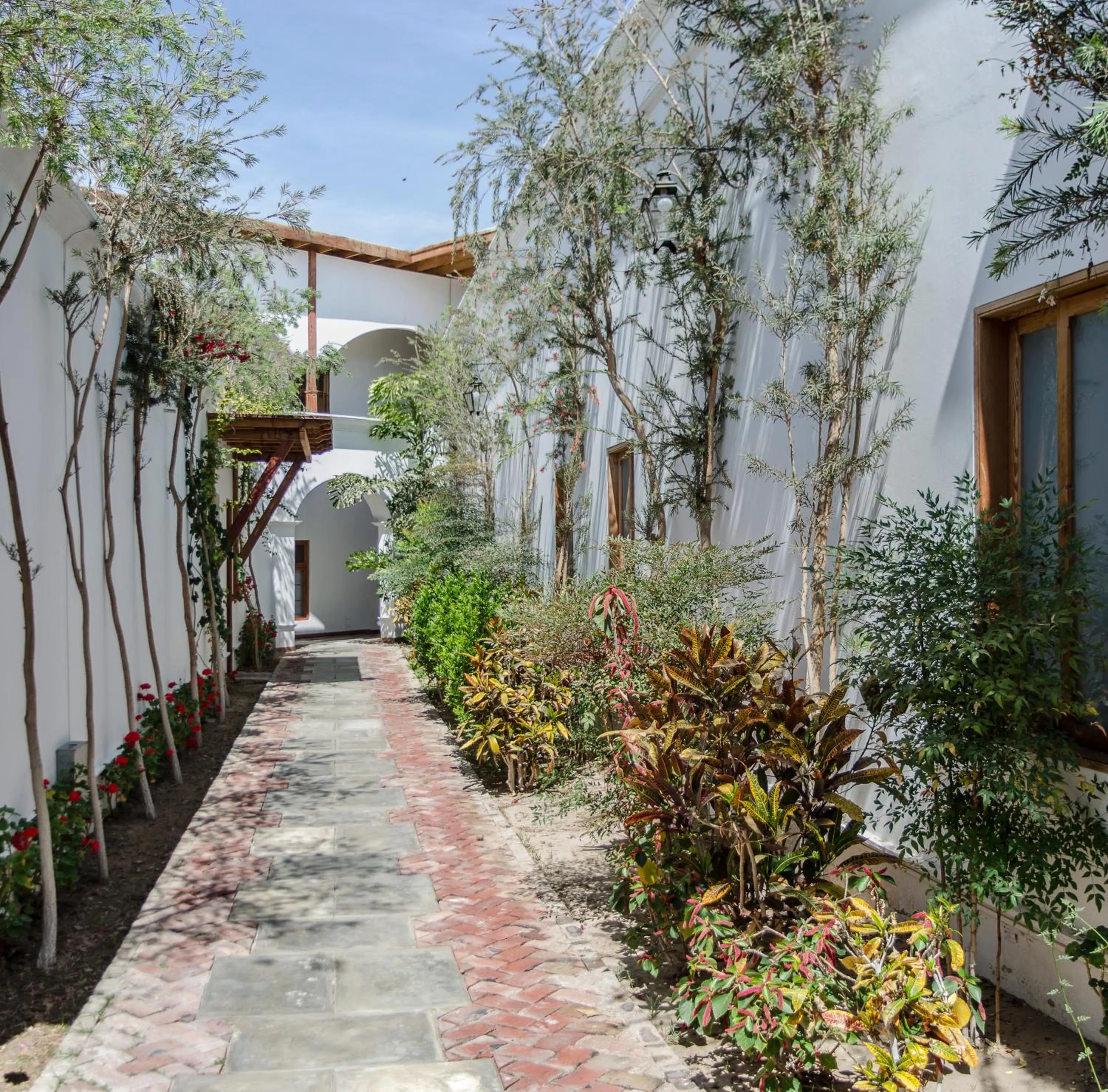 Property building in Hotel Viñas Queirolo