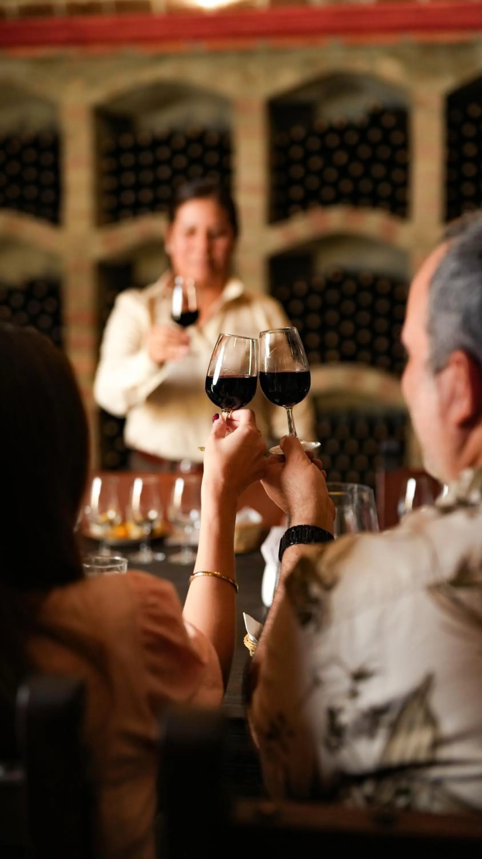 Activities in Hotel Viñas Queirolo