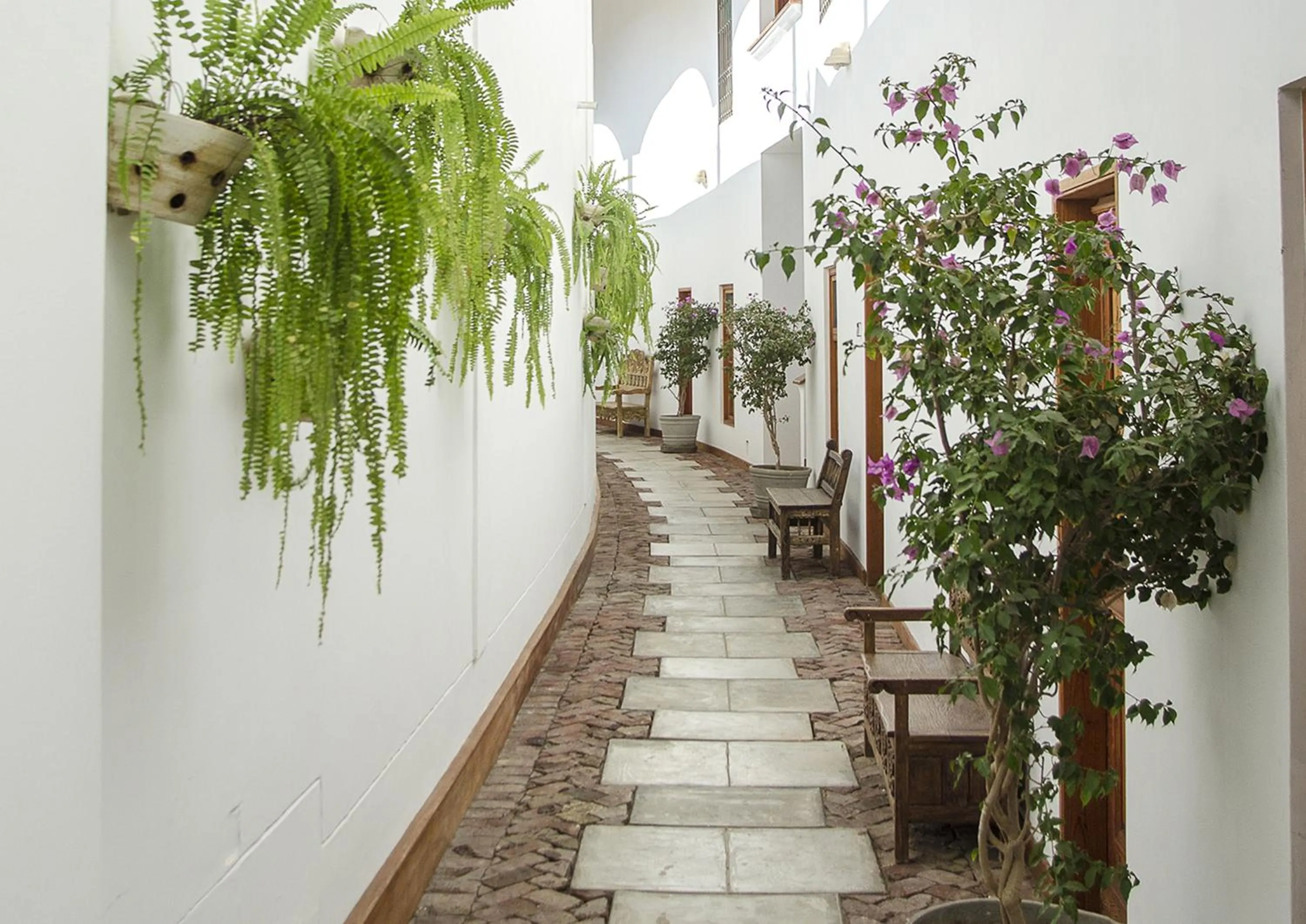 Inner courtyard view in Hotel Viñas Queirolo