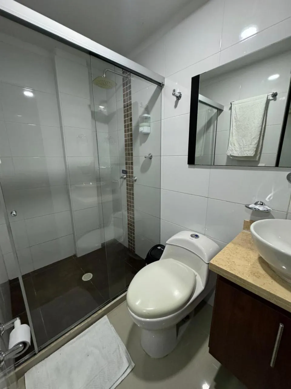 Hotel Ipanema Meridian