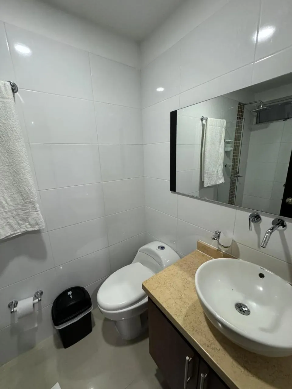 Hotel Ipanema Meridian