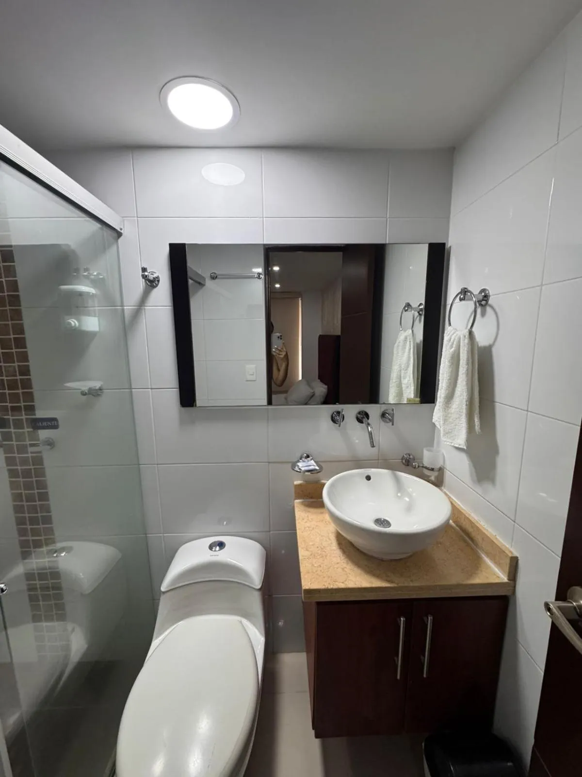 Hotel Ipanema Meridian