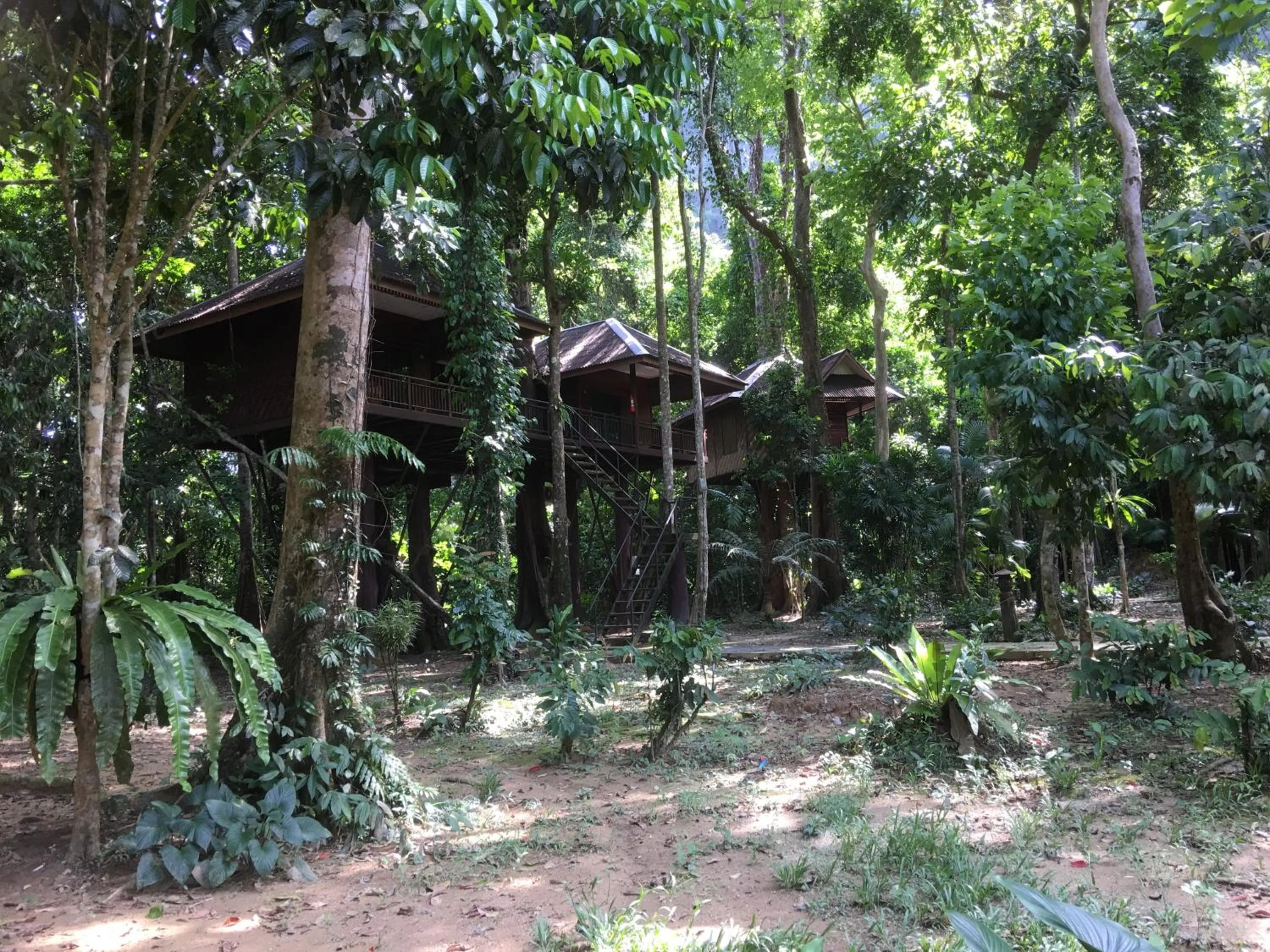 Natural landscape in Khao Sok Nature Resort