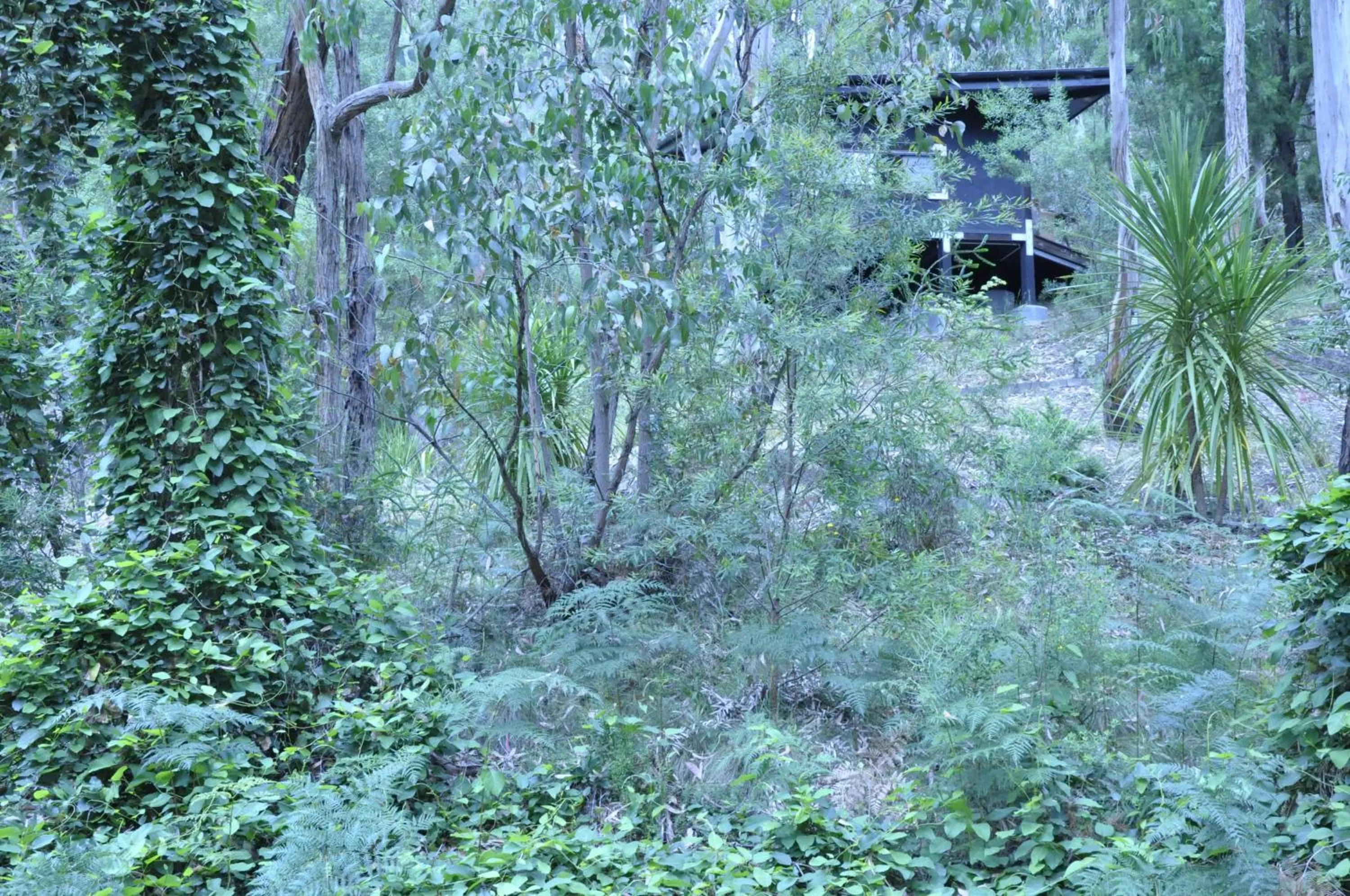 Garden in Qdos