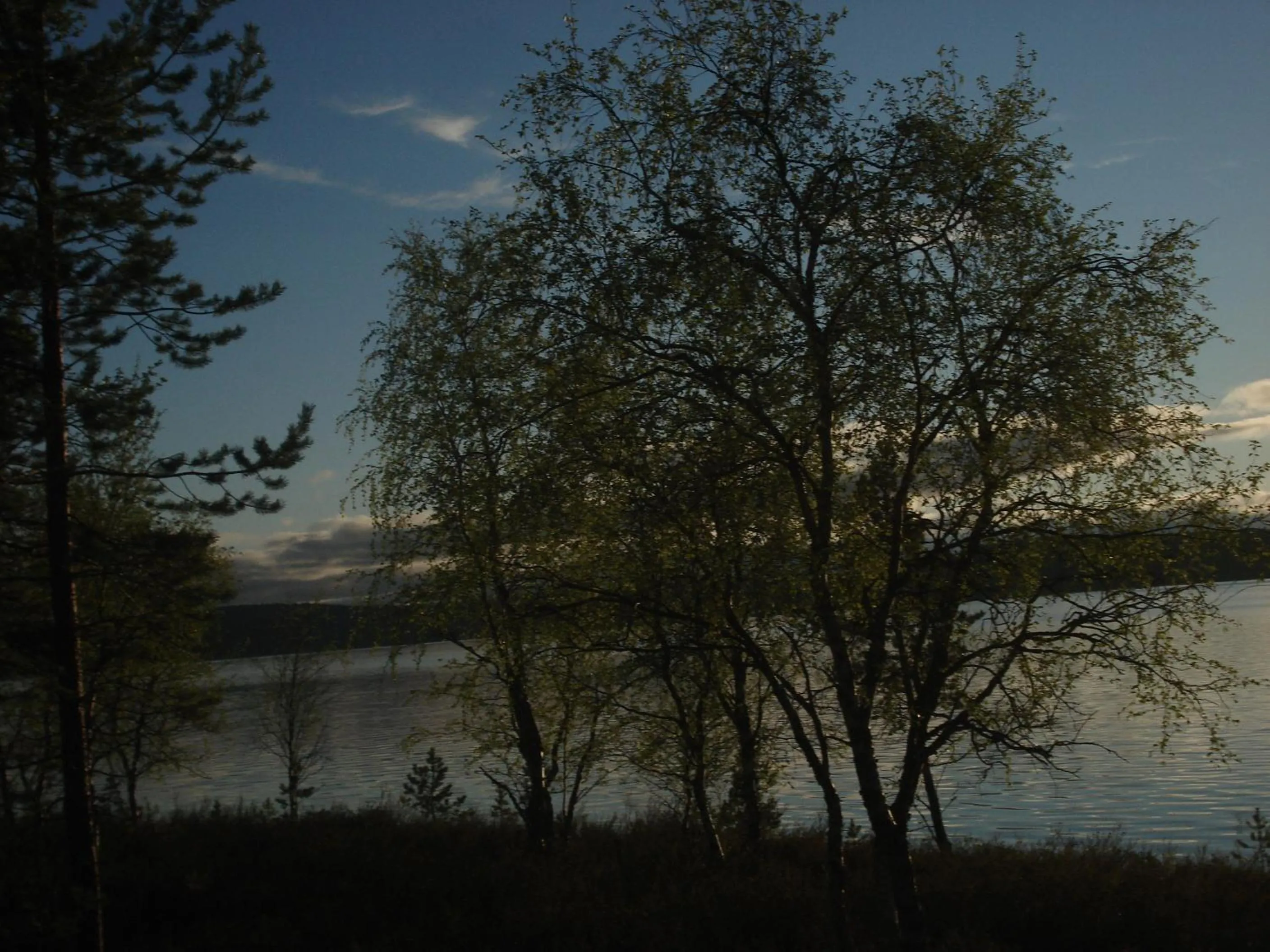 Natural landscape in Villa Paatari, Inari (Paadarjärvi)