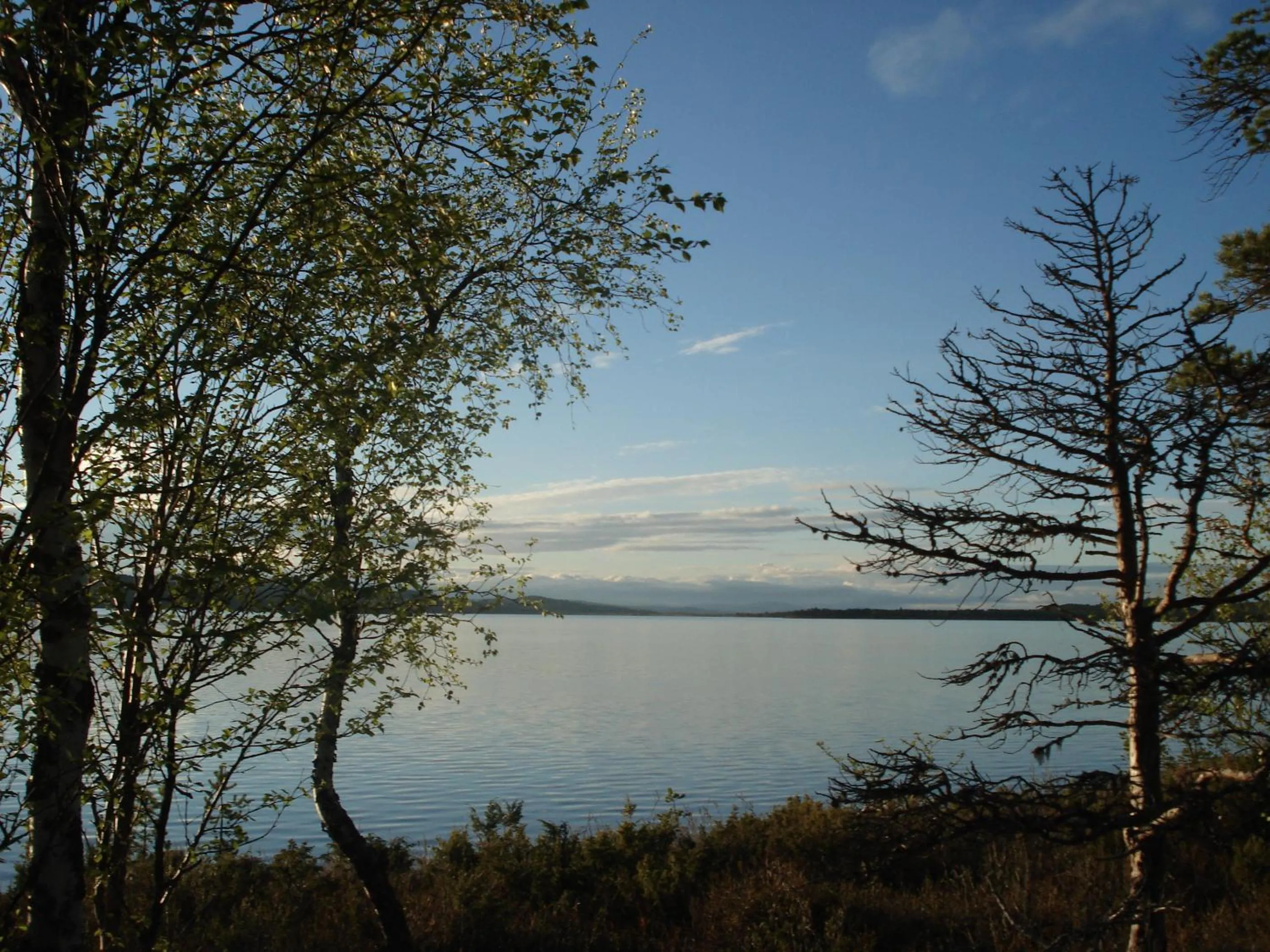 Natural landscape in Villa Paatari, Inari (Paadarjärvi)