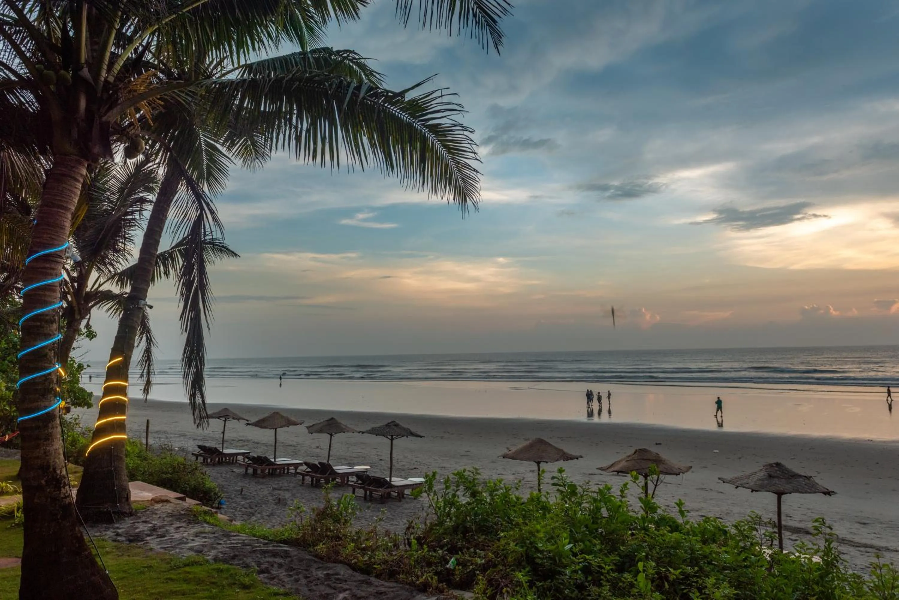 Natural landscape in Amadi Beach Front Resort