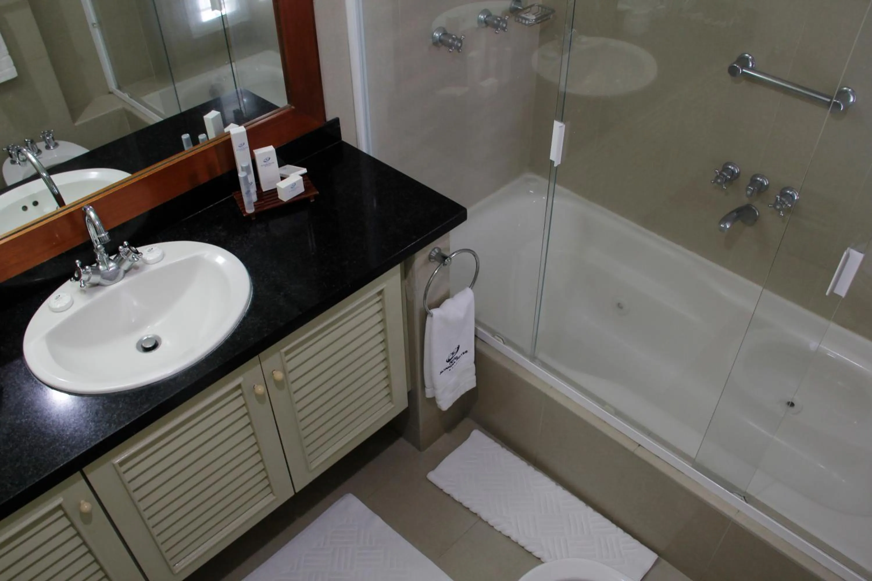 Bathroom in HOTEL ALTAMIRA SUITES