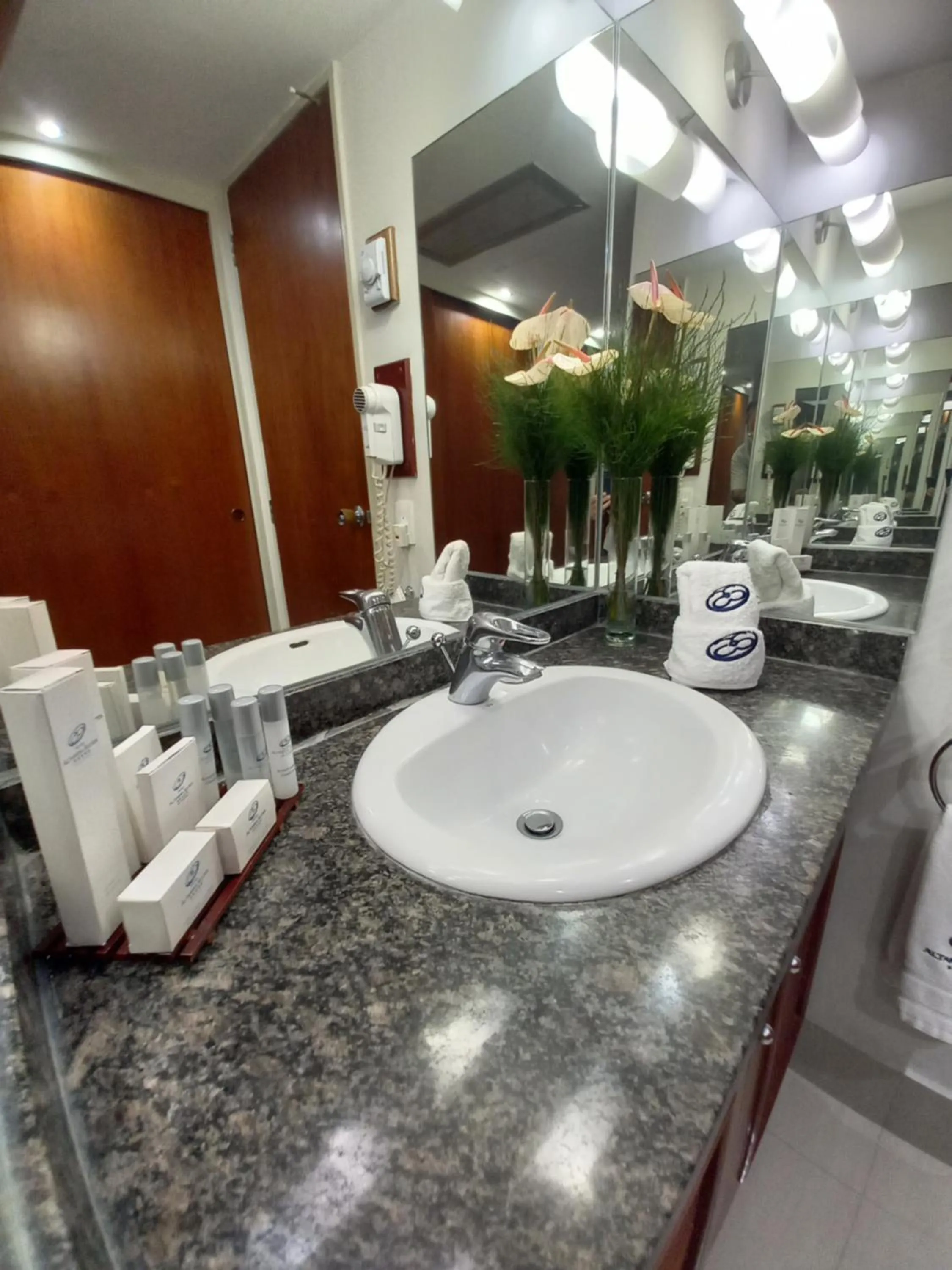 Bathroom in HOTEL ALTAMIRA SUITES