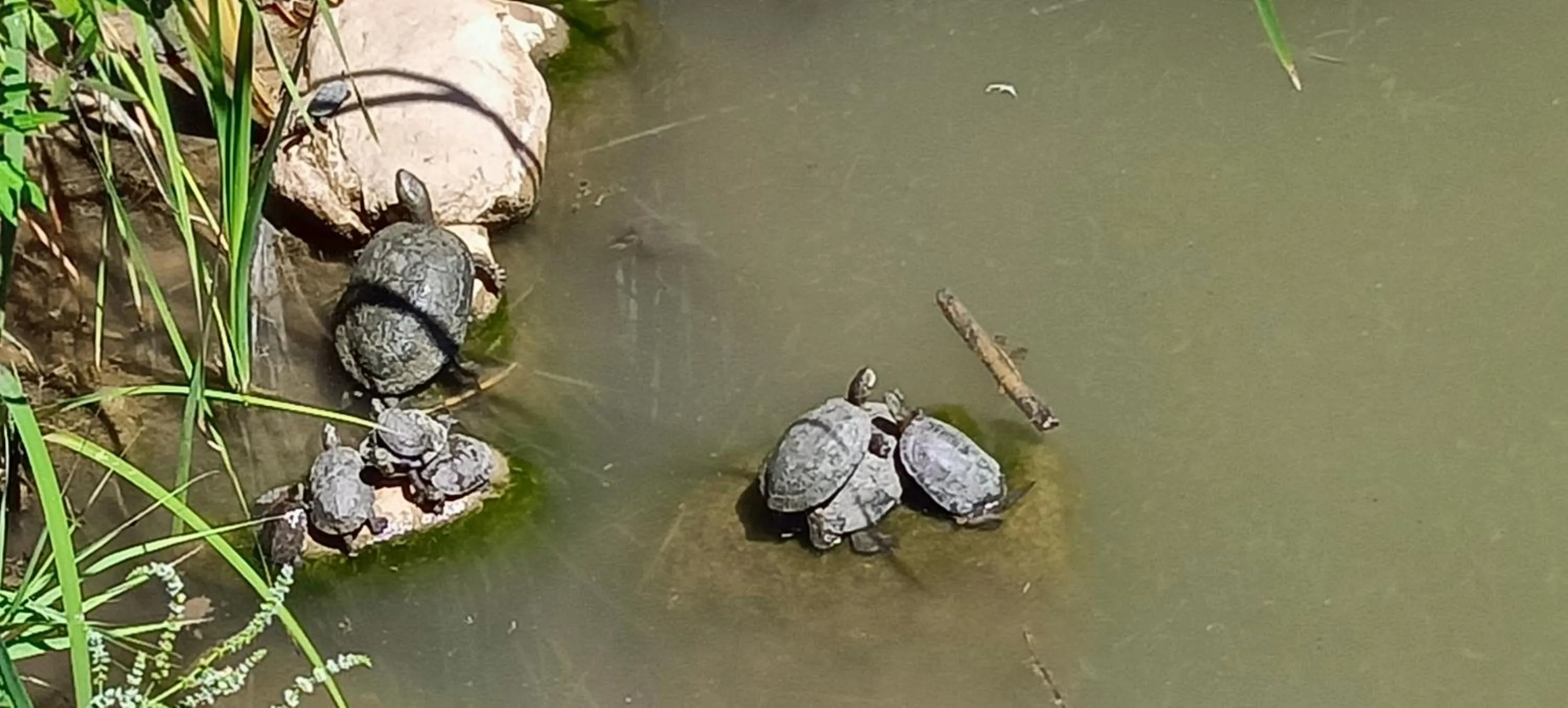 Nearby landmark in B&B Villa Deseada