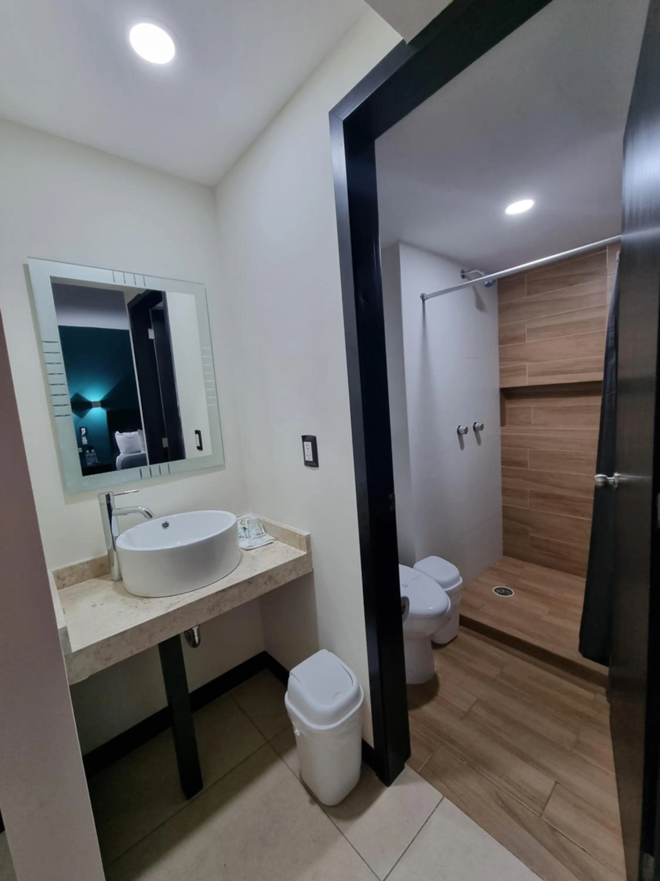 Bathroom in EMS Hoteles Centro Histórico