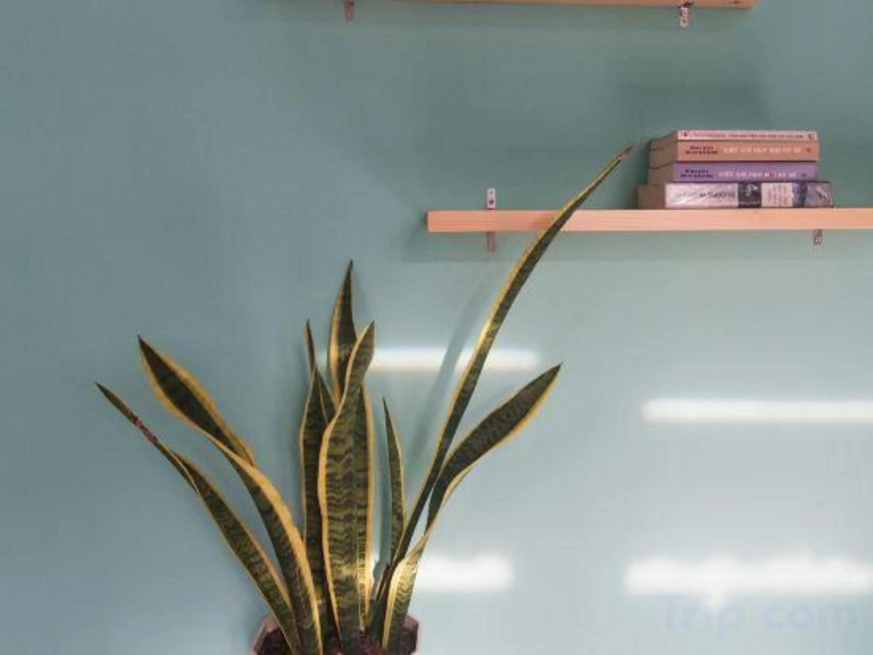 Library in OYO 1168 Elly's Home 2