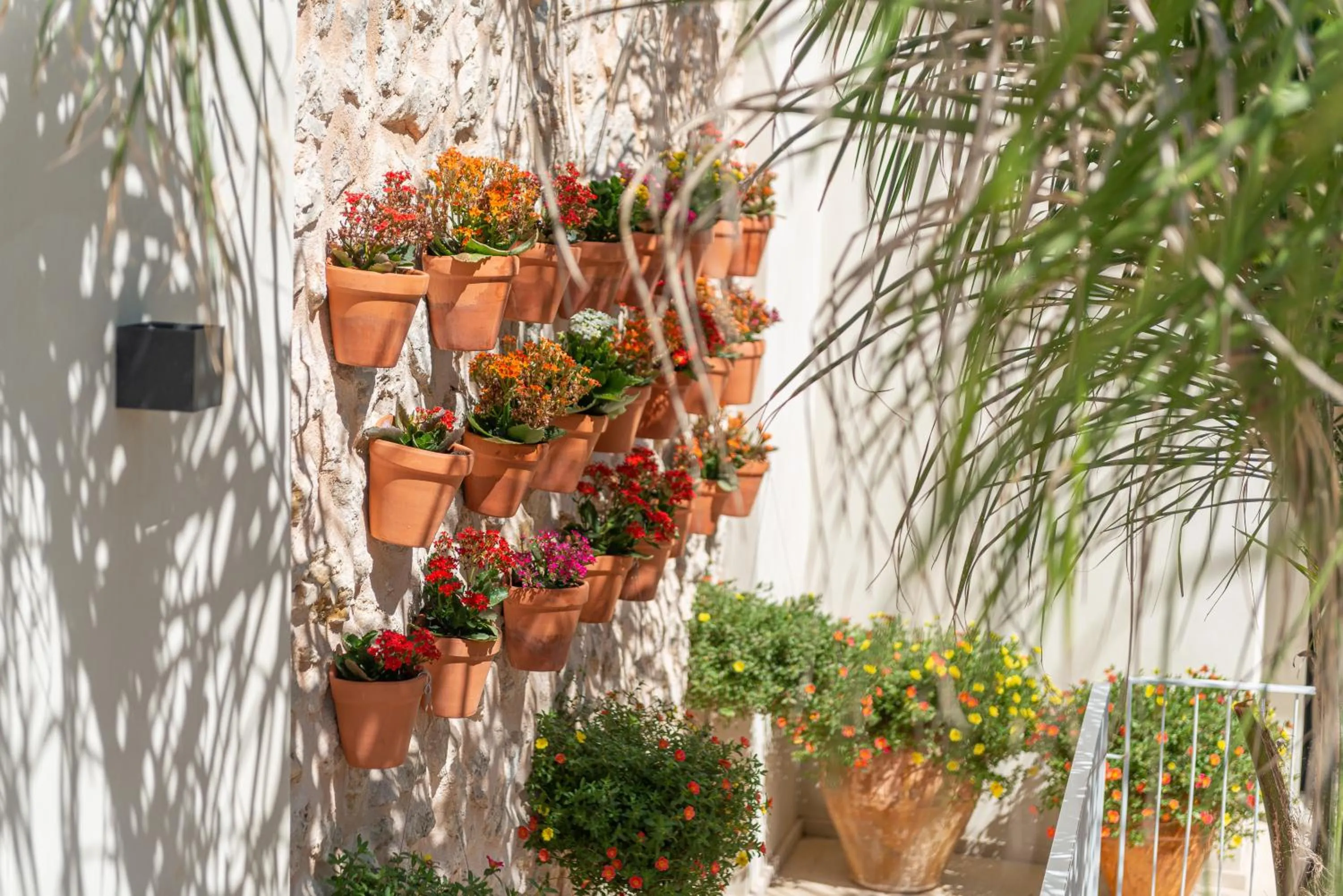 Day in Placeta Vella Turismo de Interior