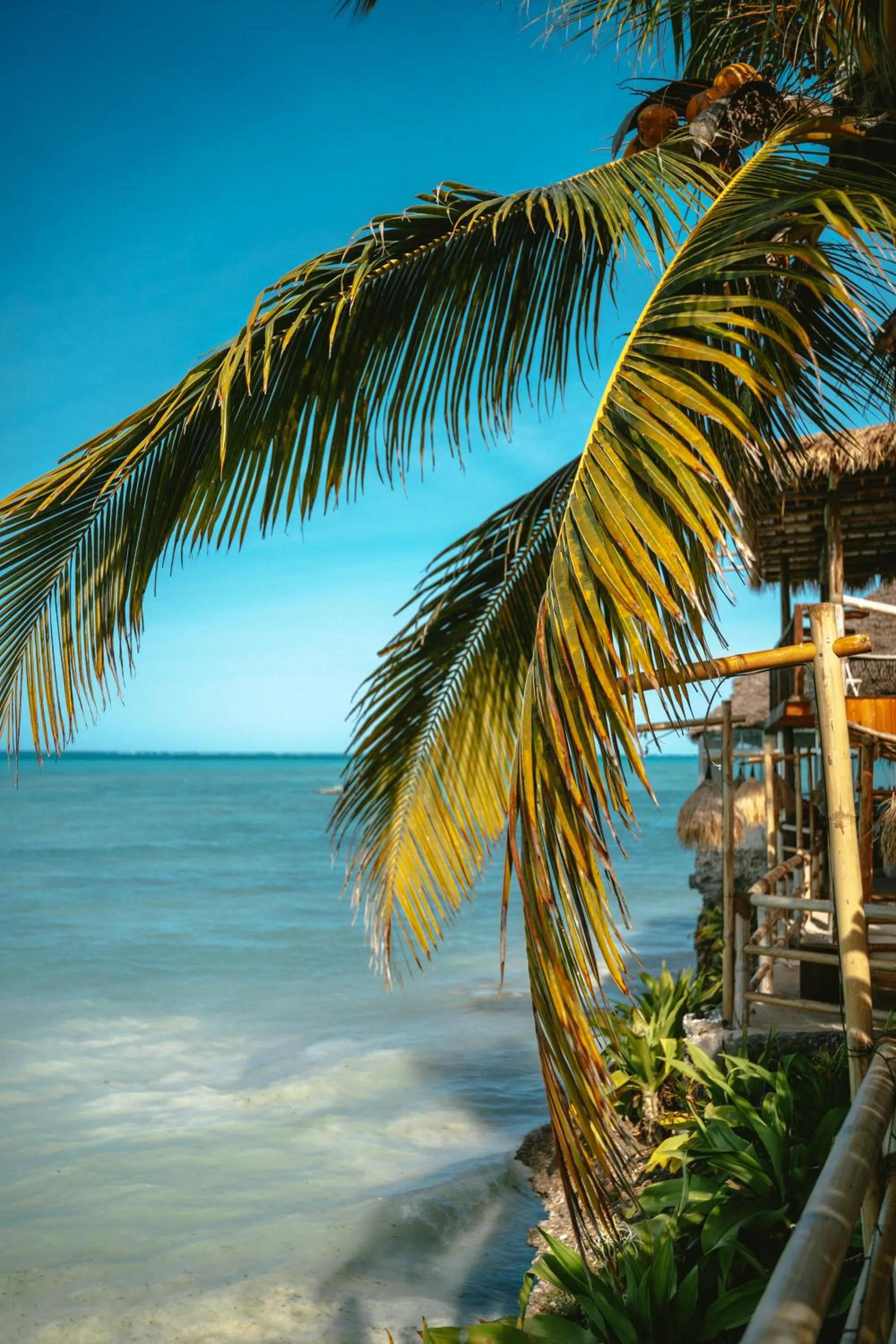 Property building in Coral Rocks Hotel & Restaurant