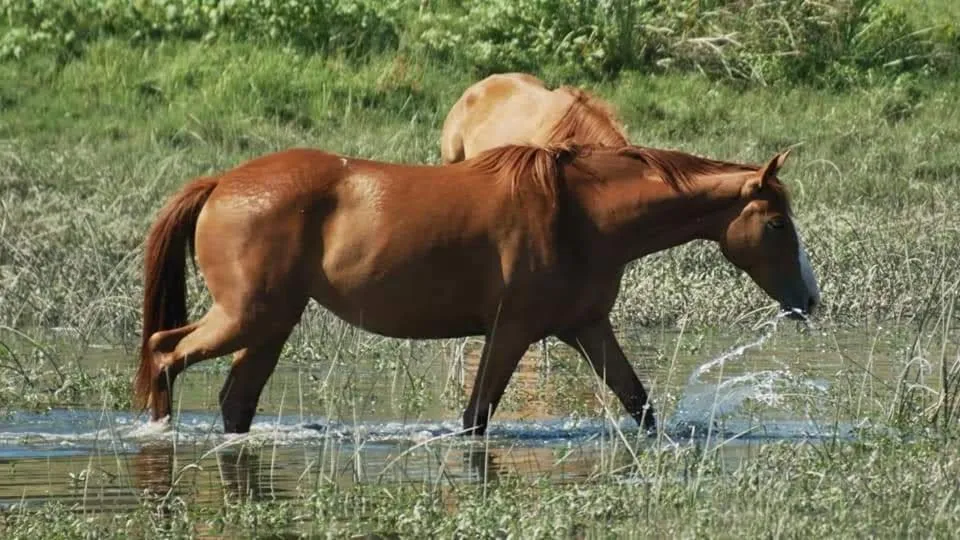Nearby landmark in Villa Rio by Valada Village