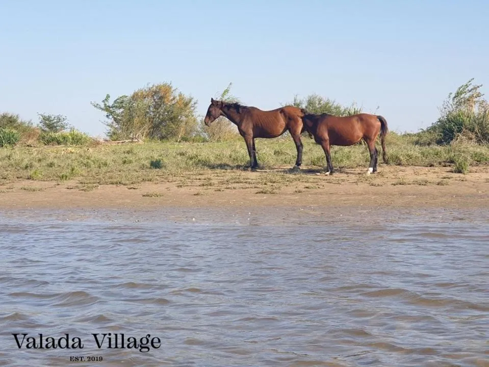 Nearby landmark in Villa Rio by Valada Village