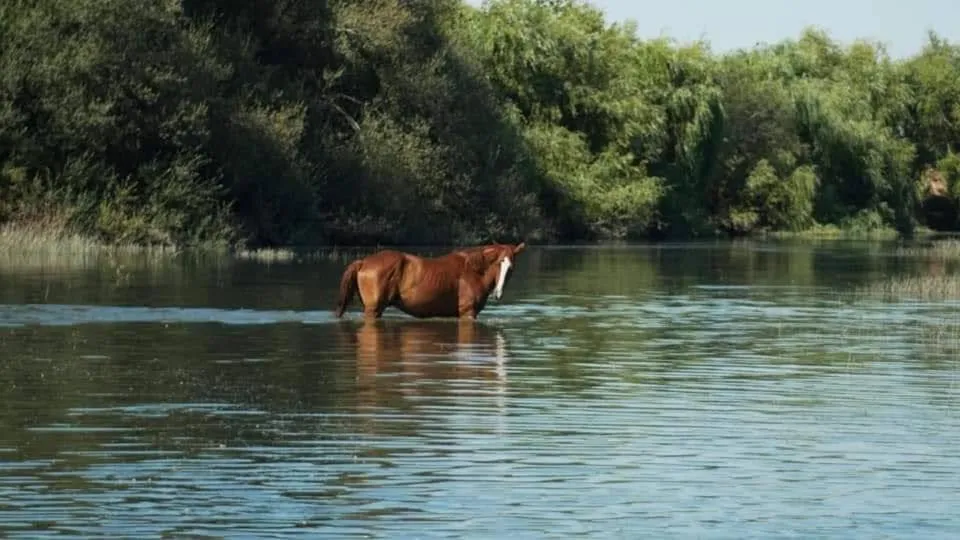 Nearby landmark in Villa Rio by Valada Village
