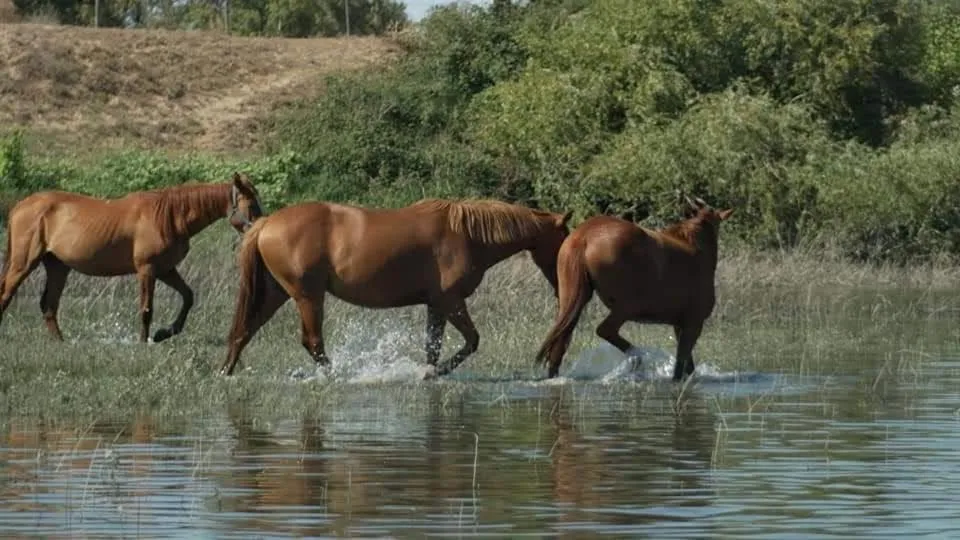 Nearby landmark in Villa Rio by Valada Village