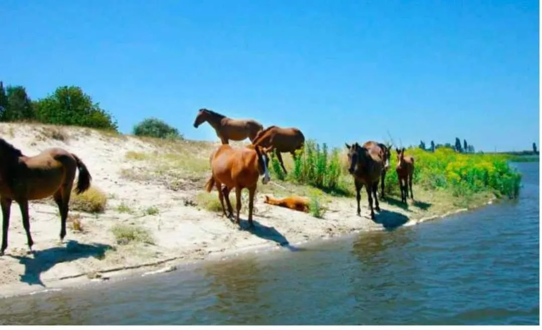 Nearby landmark in Villa Rio by Valada Village