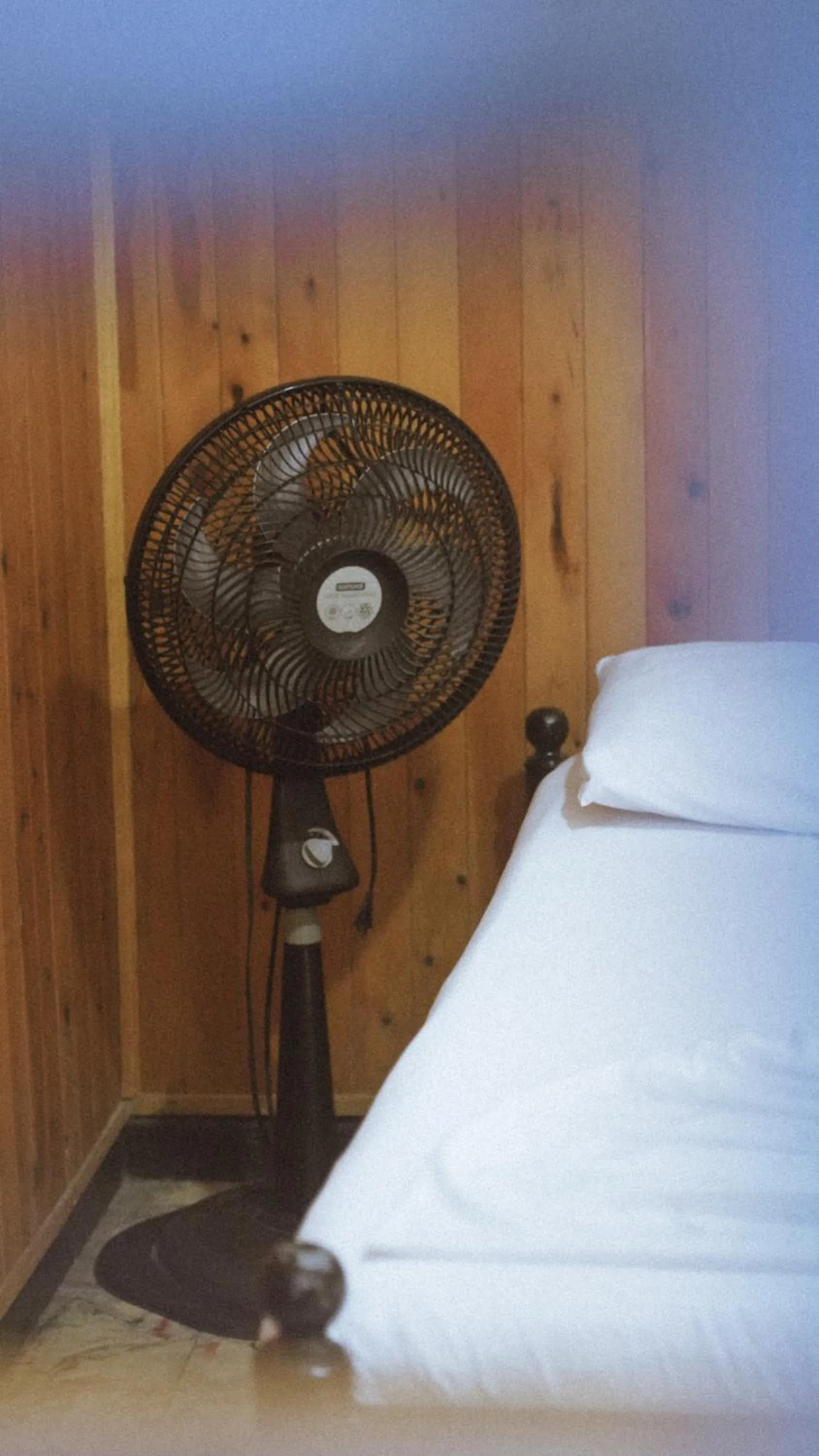 Bed in Hostal Luna Llena Getsemaní