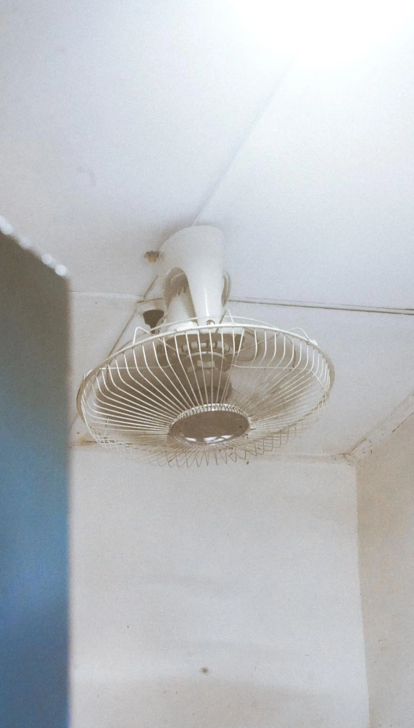 Decorative detail in Hostal Luna Llena Getsemaní