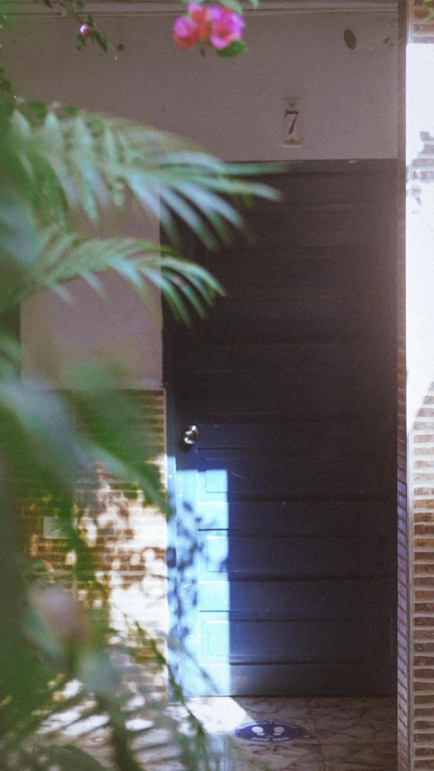 Off site in Hostal Luna Llena Getsemaní