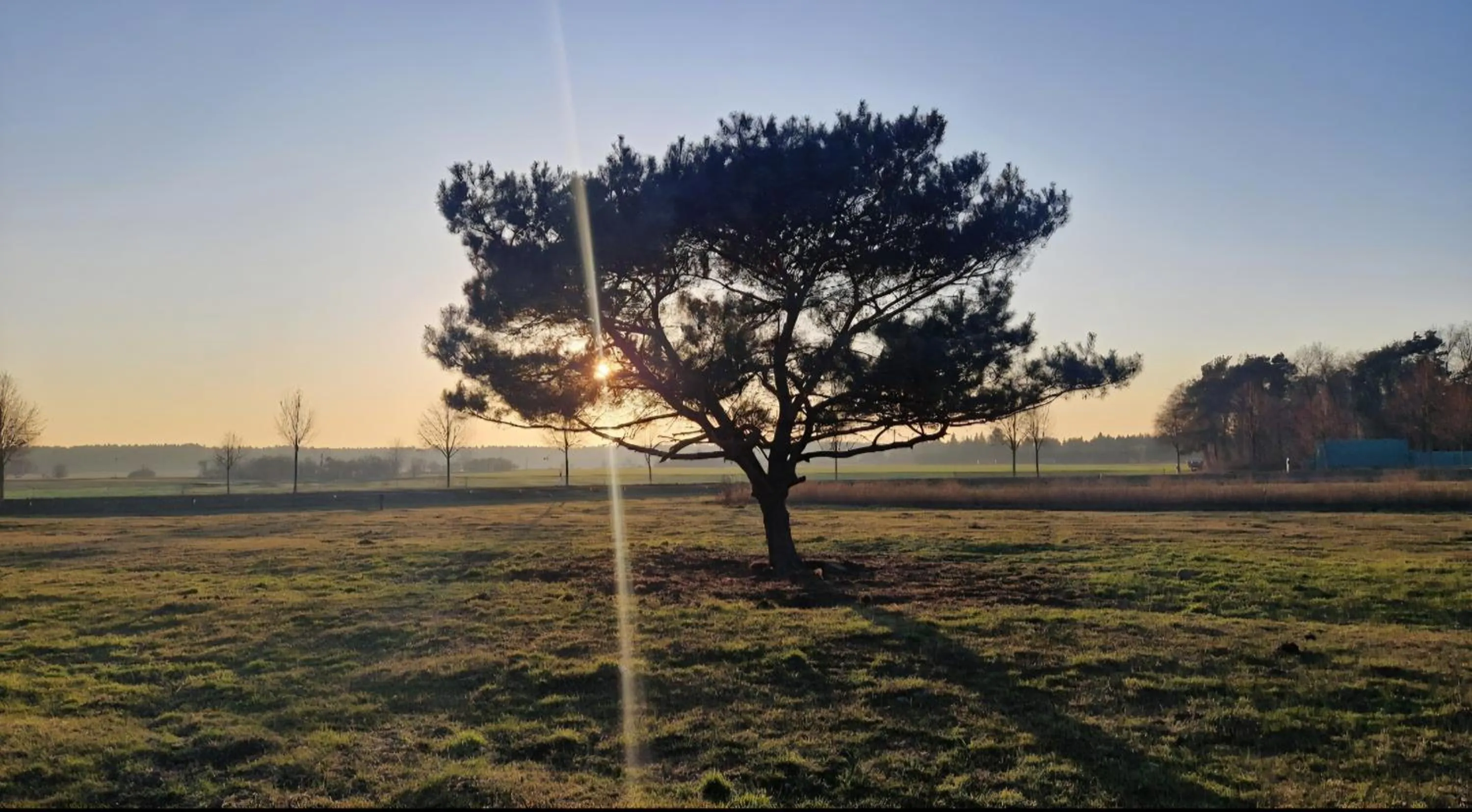 Natural landscape in Hotel Gröbern am See
