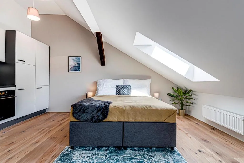 Kaizl Park Residence