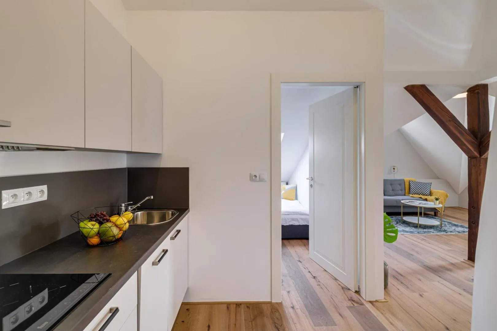 Kaizl Park Residence