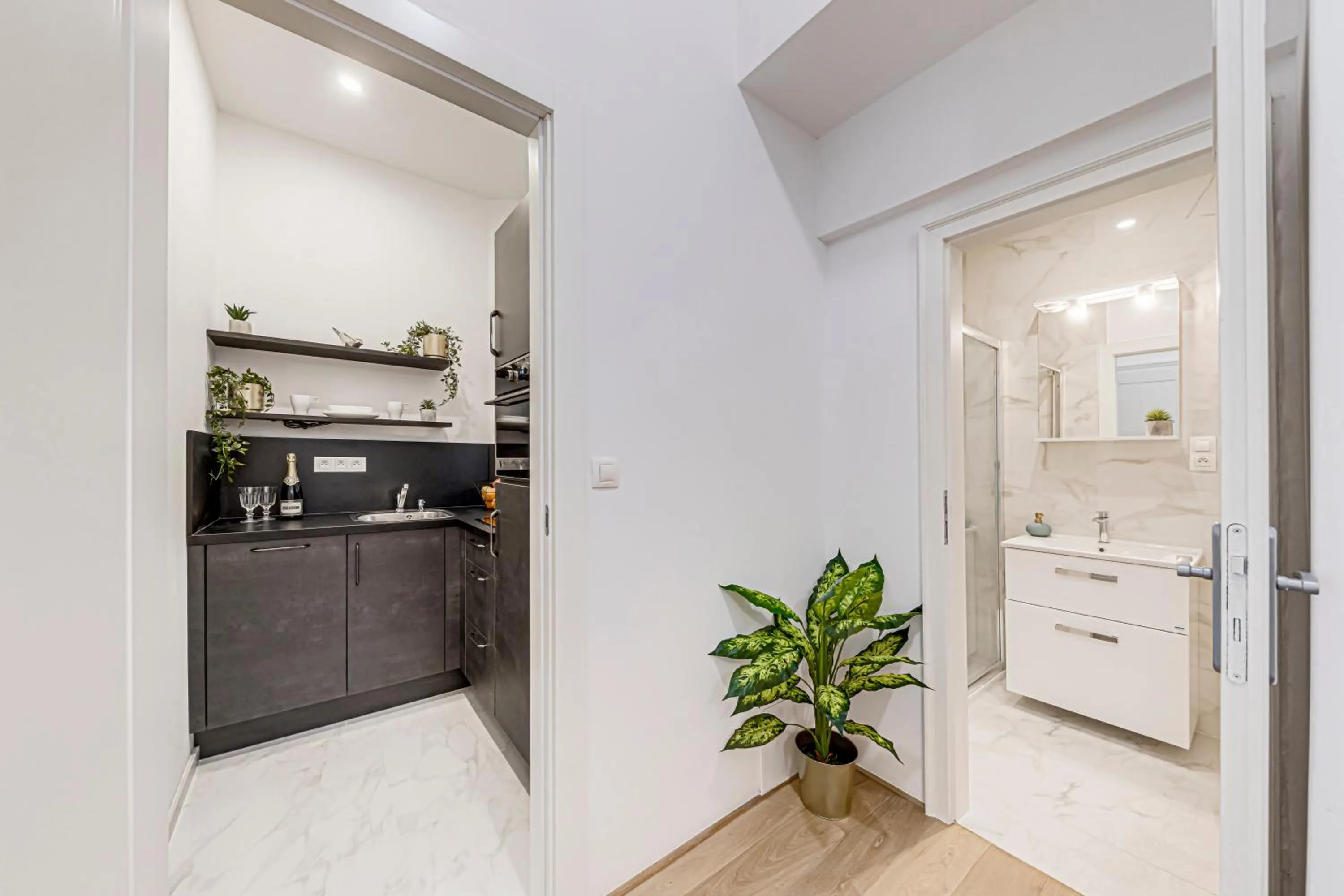 Kaizl Park Residence