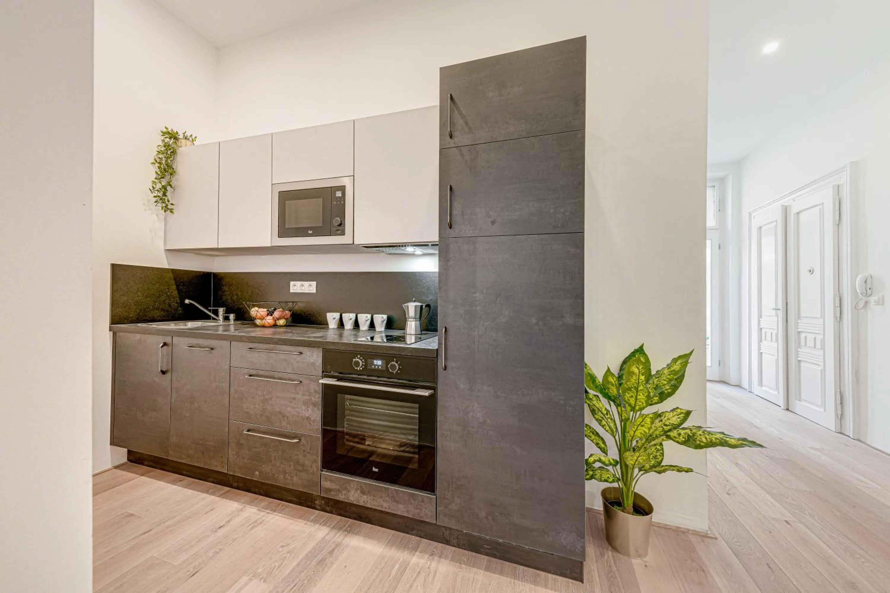 Kitchen or kitchenette in Kaizl Park Residence