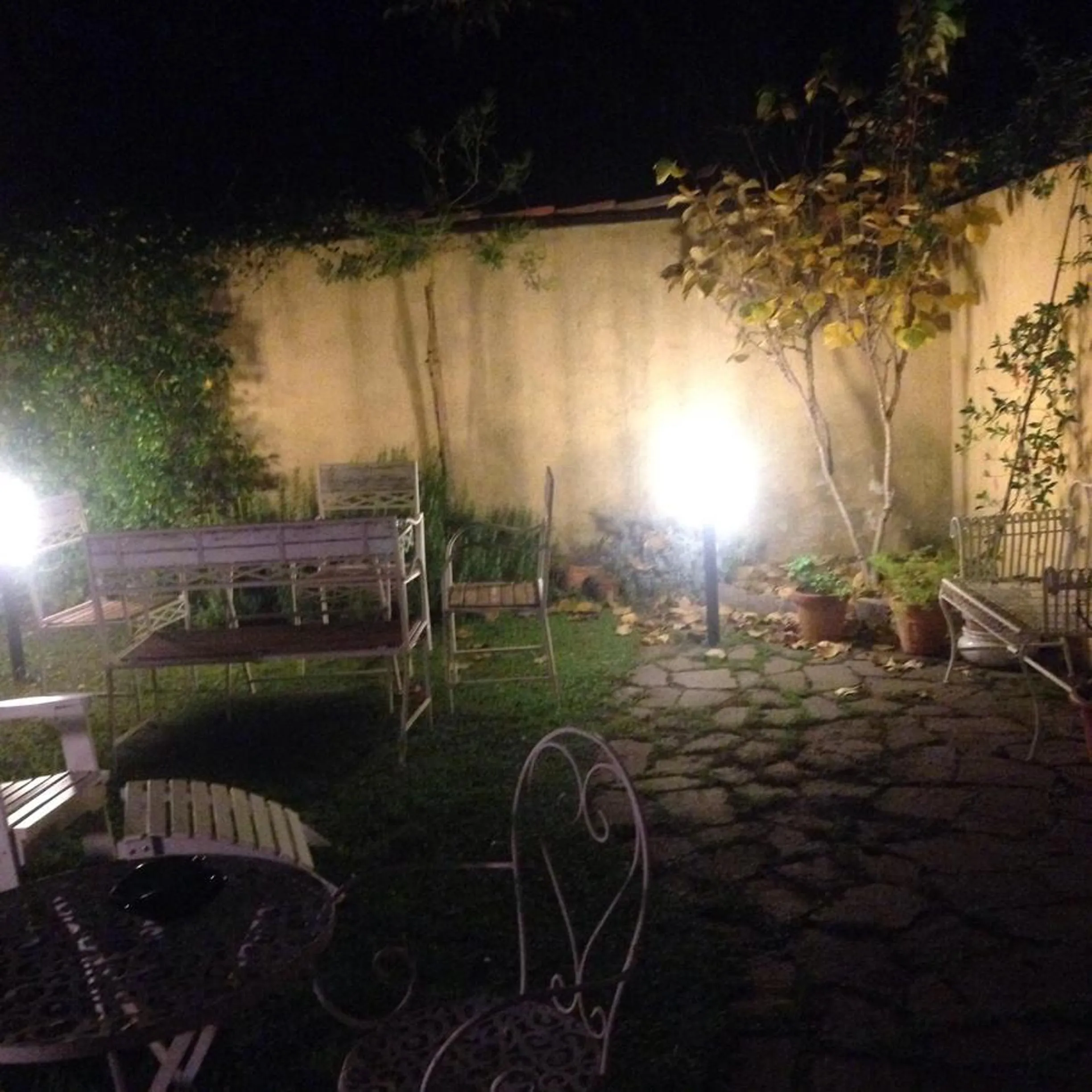 Garden in Cosy House