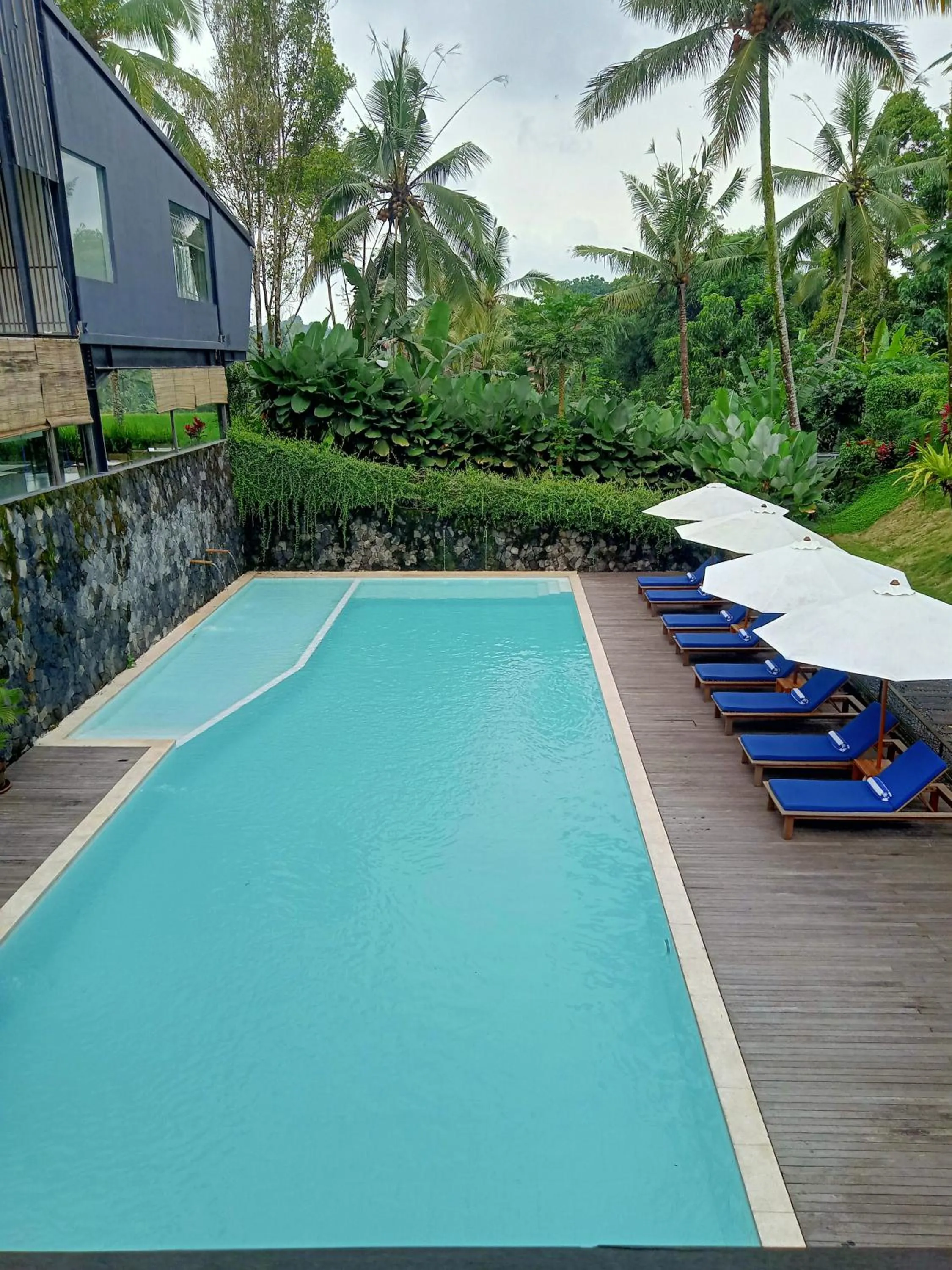 Swimming pool in Teras Hotel Ijen Banyuwangi