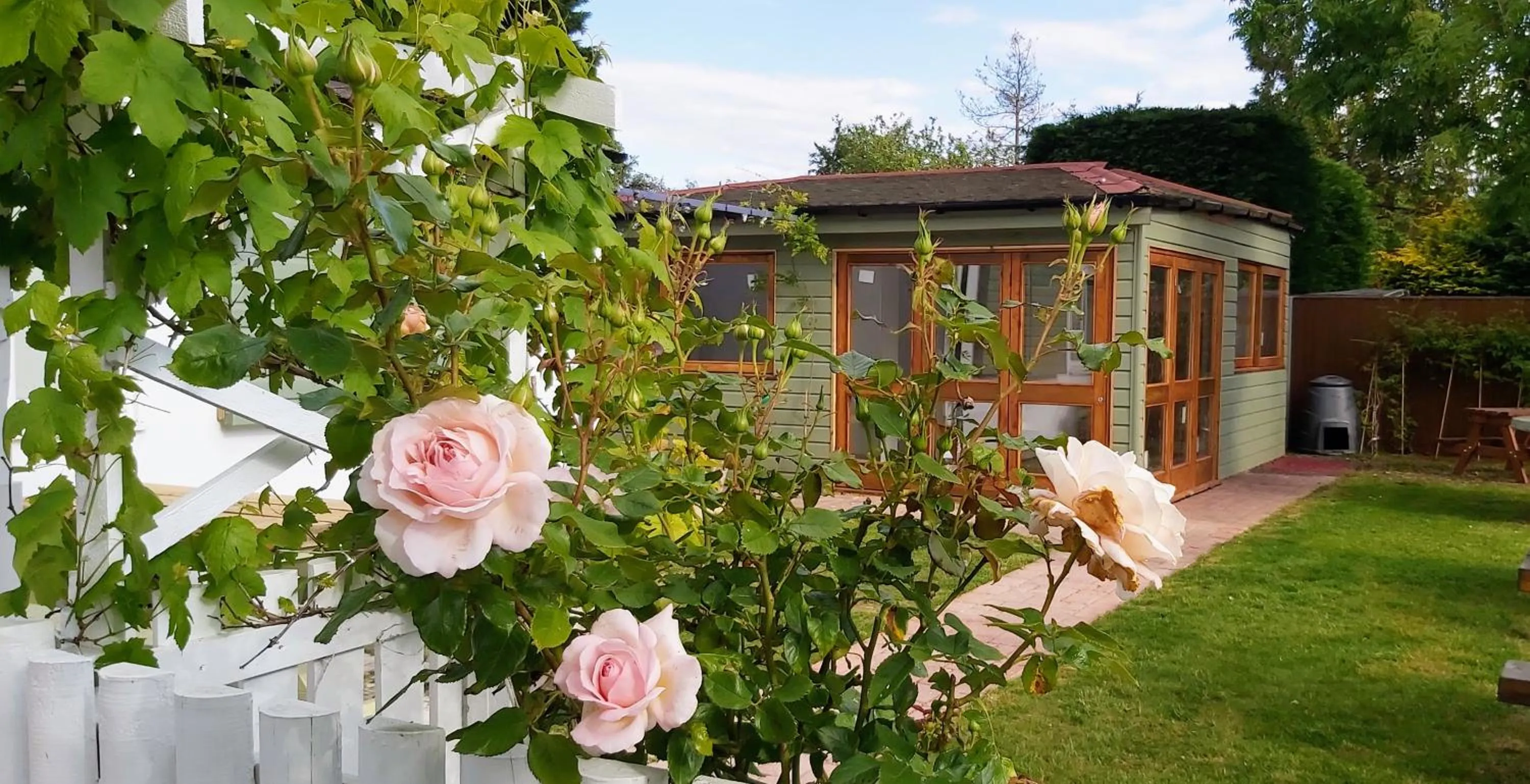 Garden in Oxford Guest House