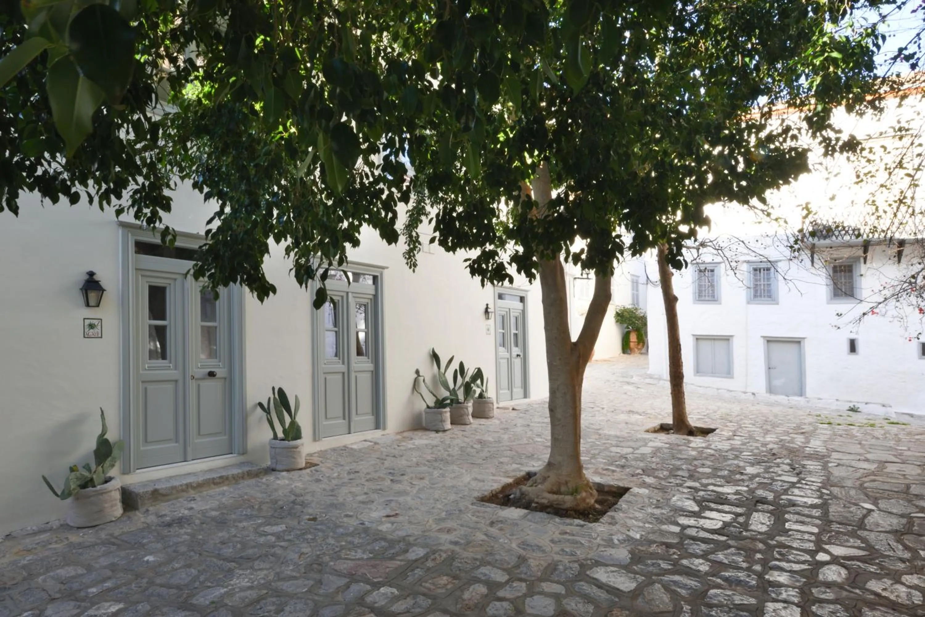 Property building in Cactus Hydra - Art Apartments