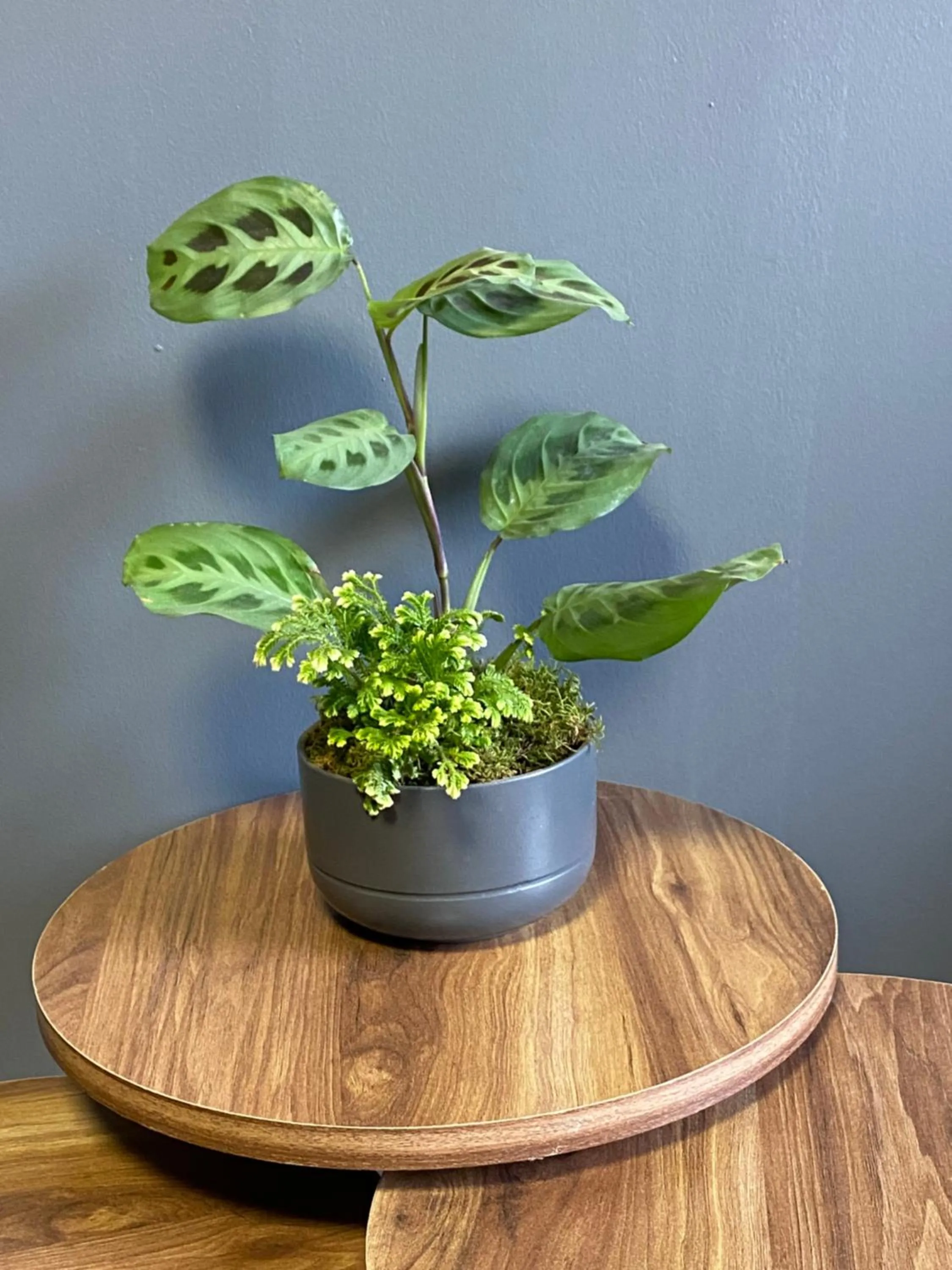 Property building in iNALENS AİRPORT HOTEL