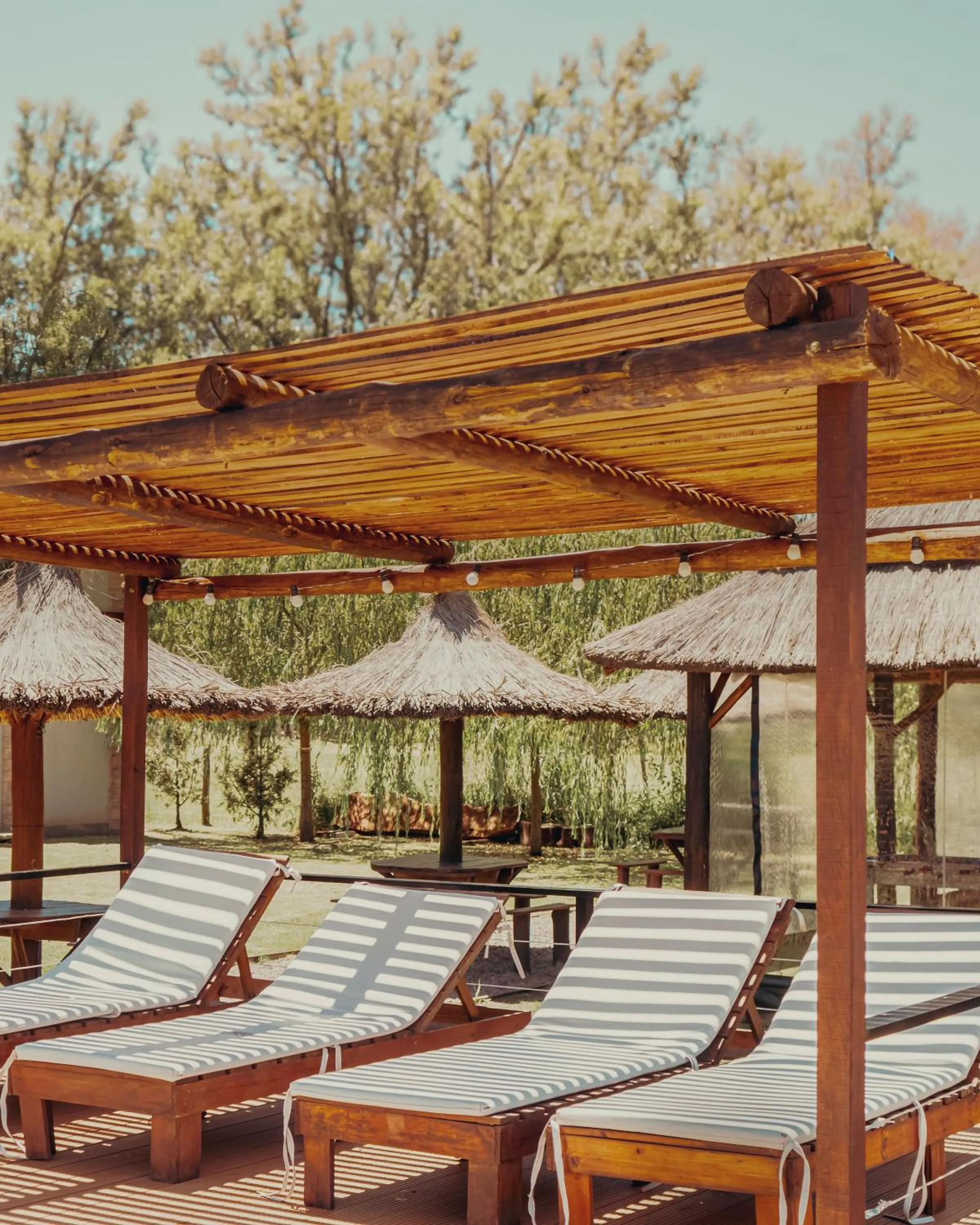 Swimming pool in Olivos de Monte