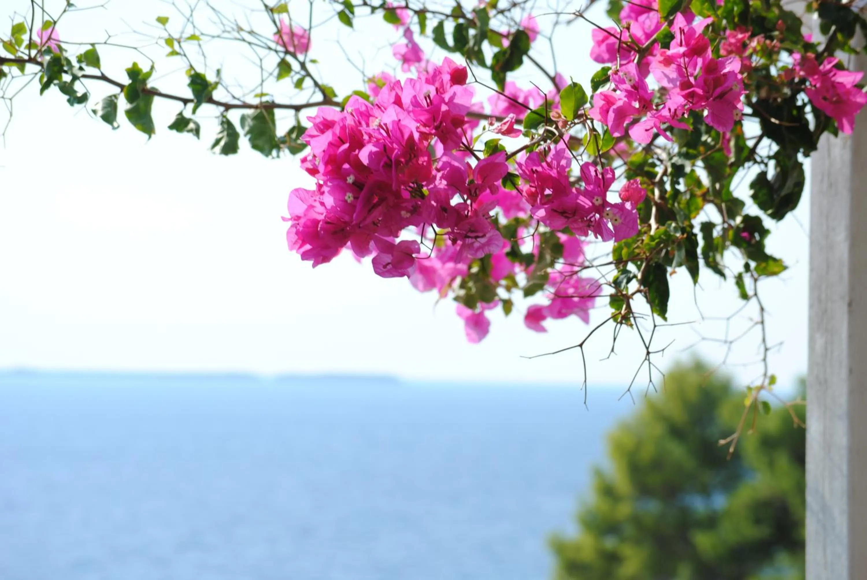 Sea view in Stavento Apartments