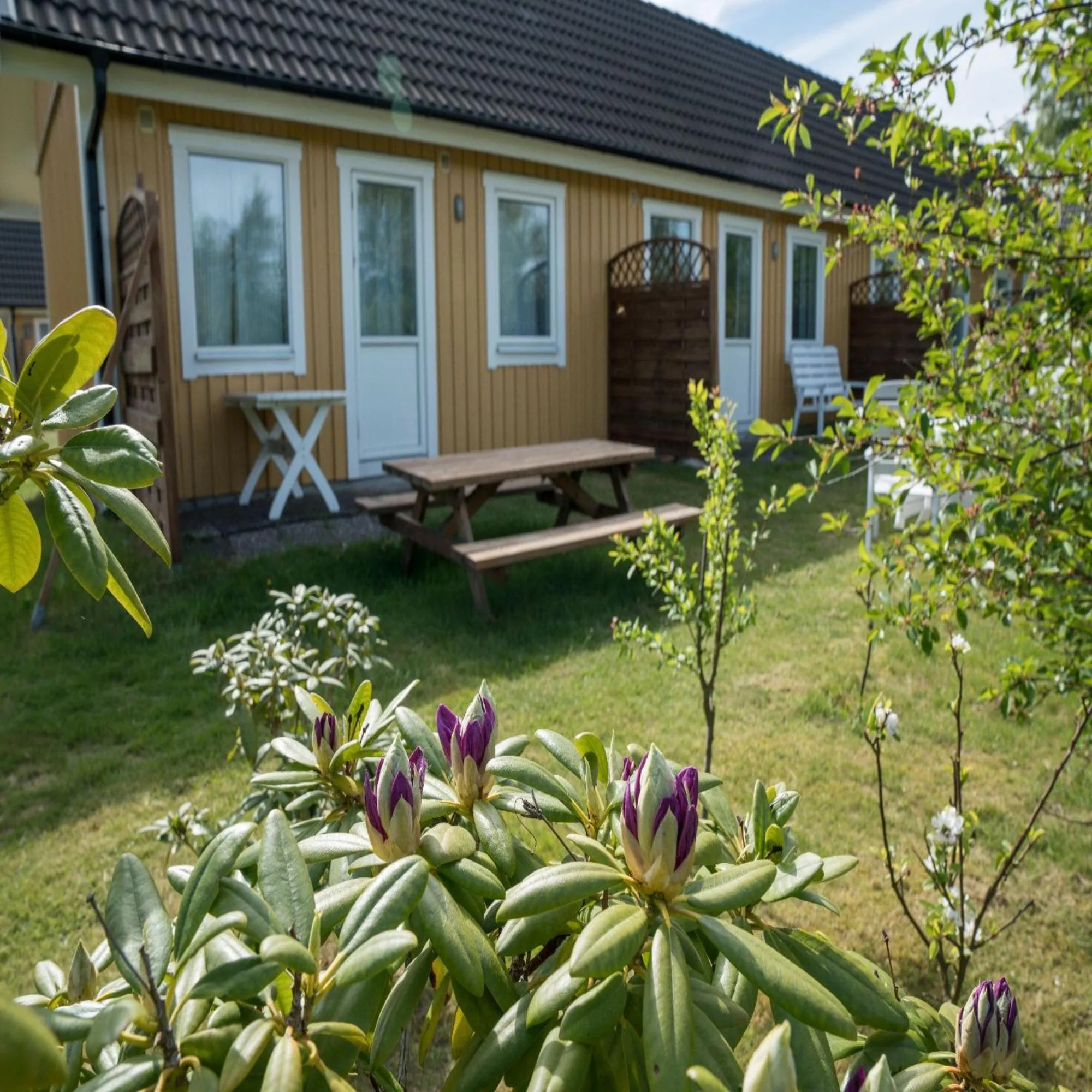 Solstickan Hotell & Vandrarhem